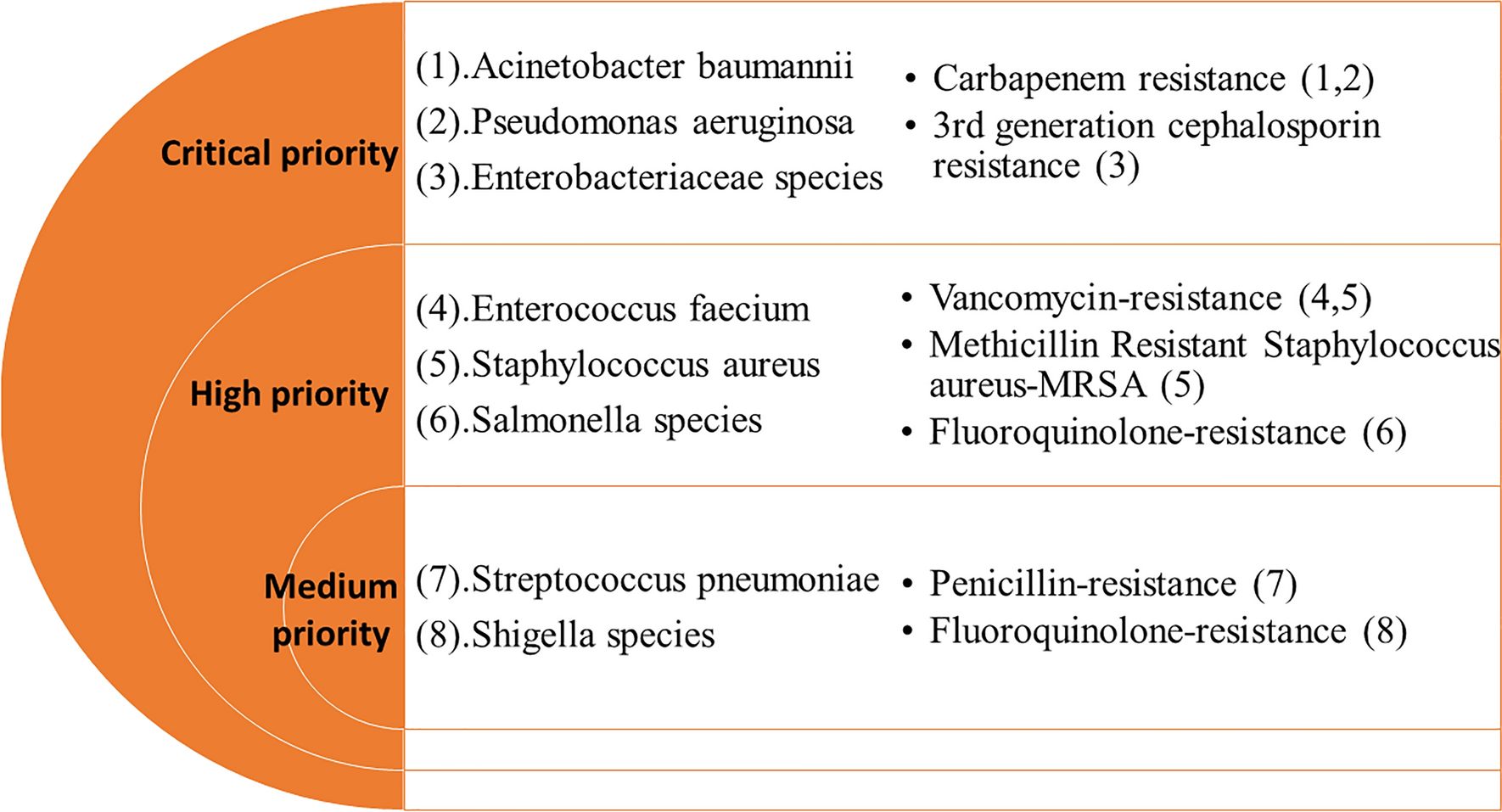 A Descriptive Analysis Of Antimicrobial Resistance Patterns Of Who Priority Pathogens Isolated In Children From A Tertiary Care Hospital In India Scientific Reports
