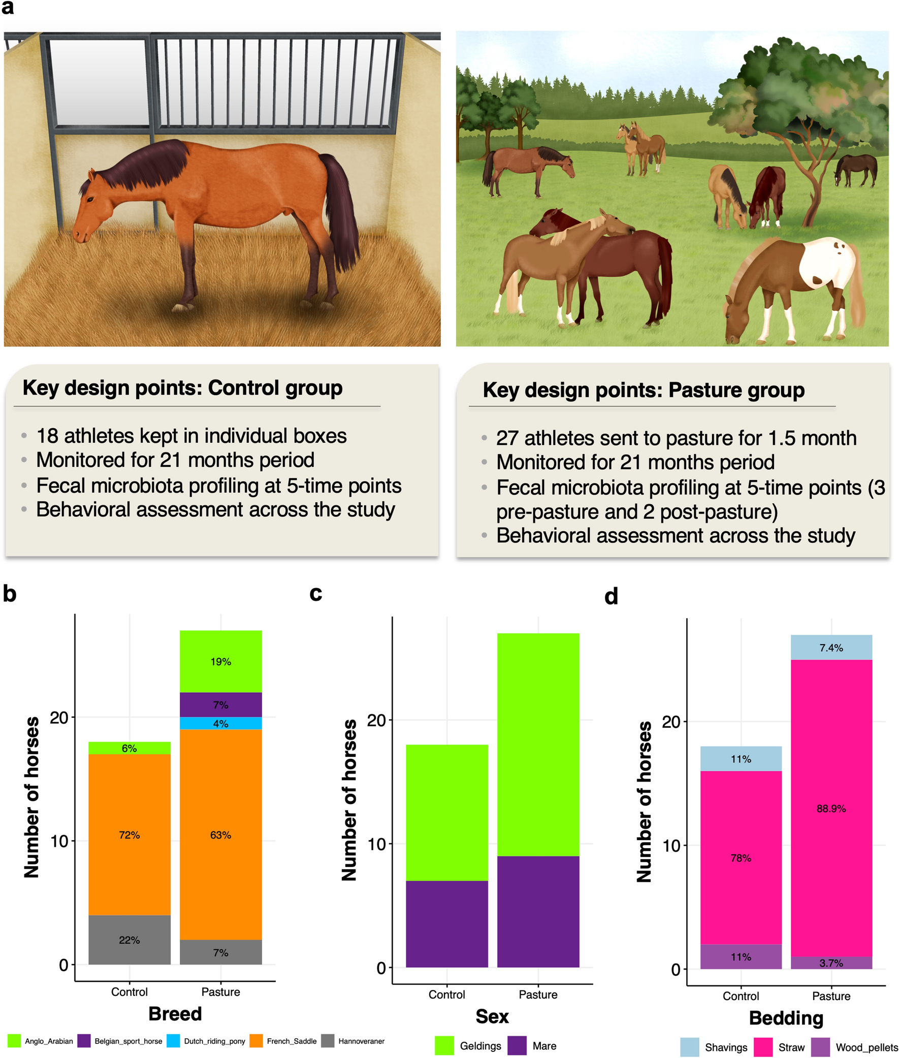 Gut microbiota resilience in horse