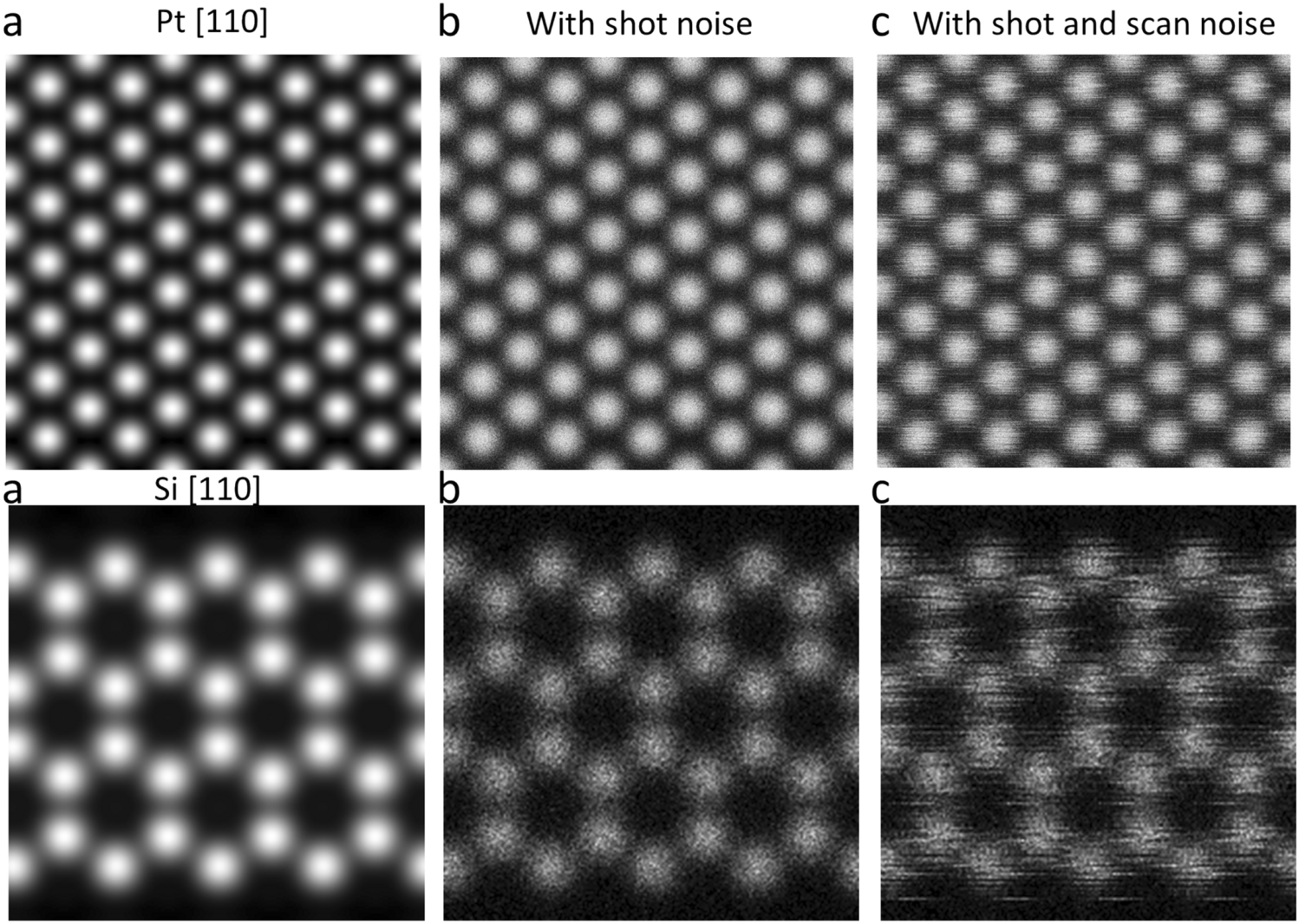 electron microscope images atom