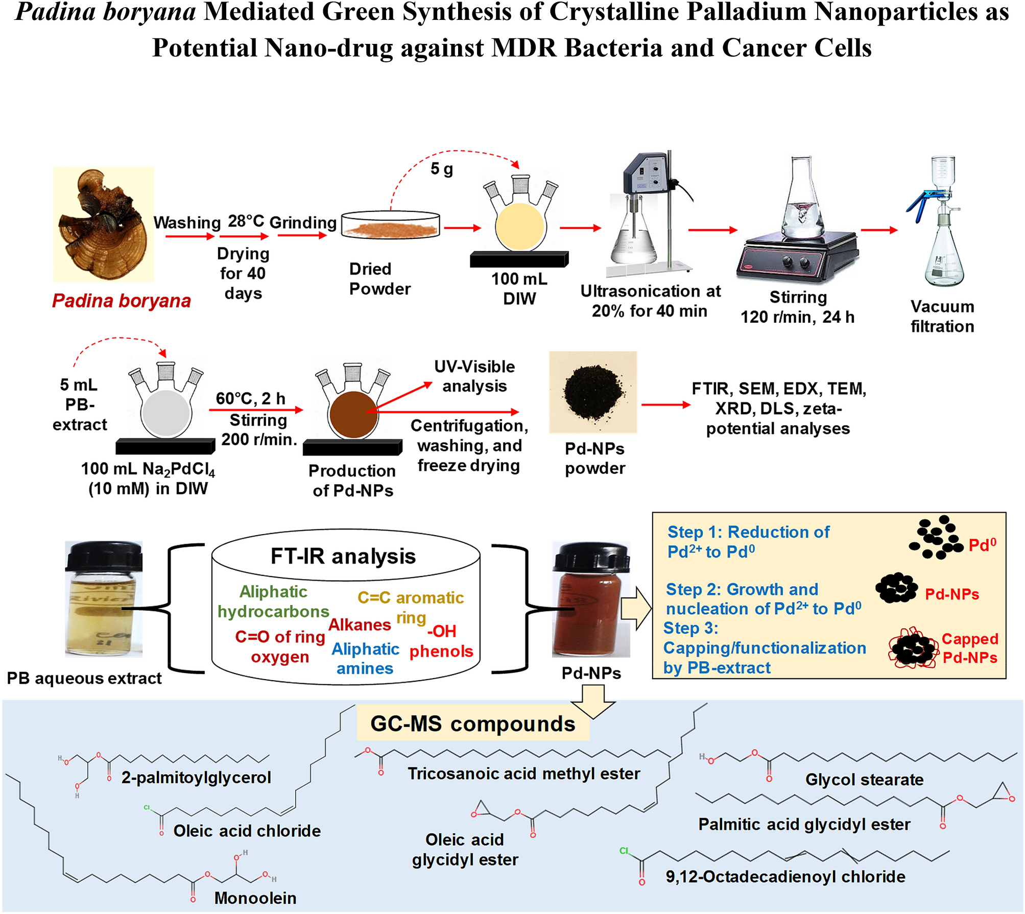Padina Boryana Mediated Green Synthesis Of Crystalline Palladium Nanoparticles As Potential Nanodrug Against Multidrug Resistant Bacteria And Cancer Cells Scientific Reports Padina Boryana Mediated Green Synthesis Of Crystalline Palladium Nanoparticles As Potential Nanodrug Against Multidrug Resistant Bacteria And Cancer Cells Scientific Reports