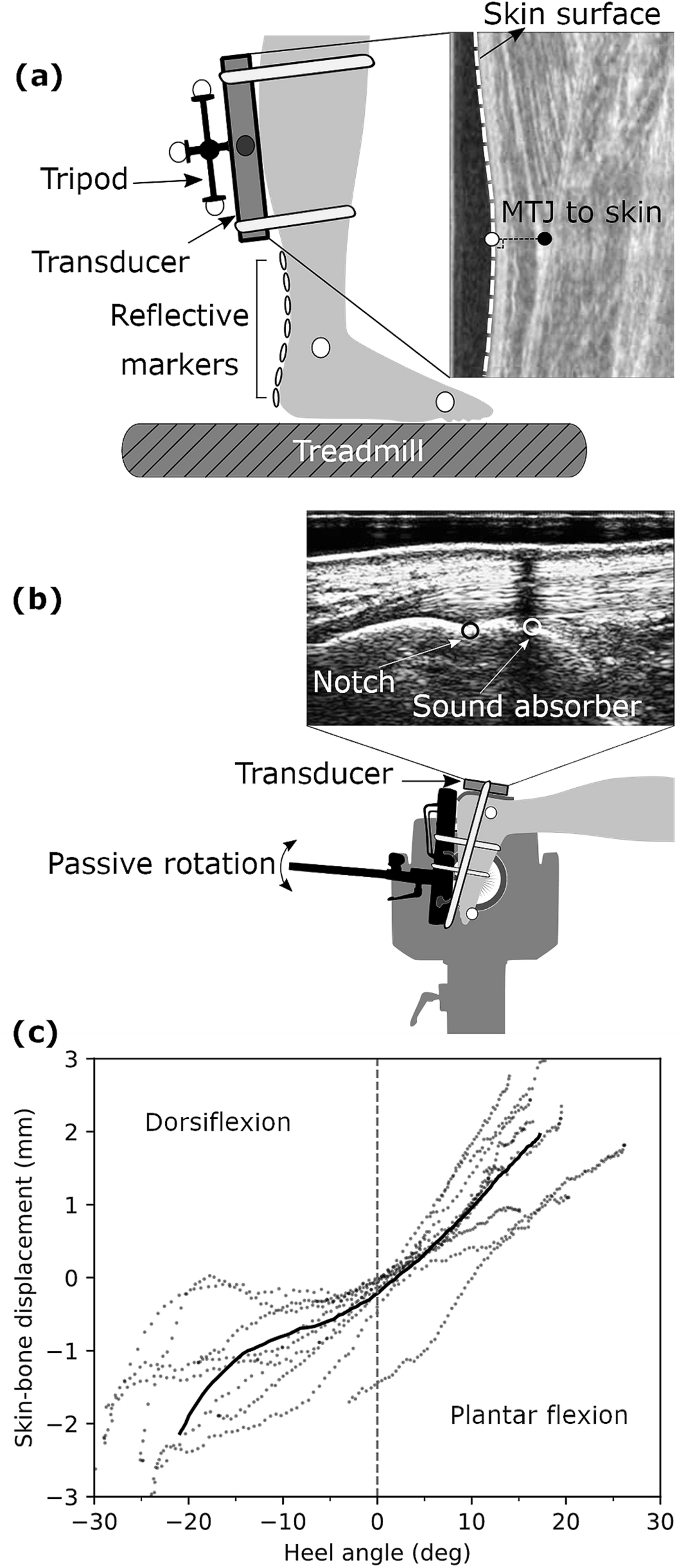 Quantifying Mechanical Loading And Elastic Strain Energy Of The Human Achilles Tendon During Walking And Running Scientific Reports