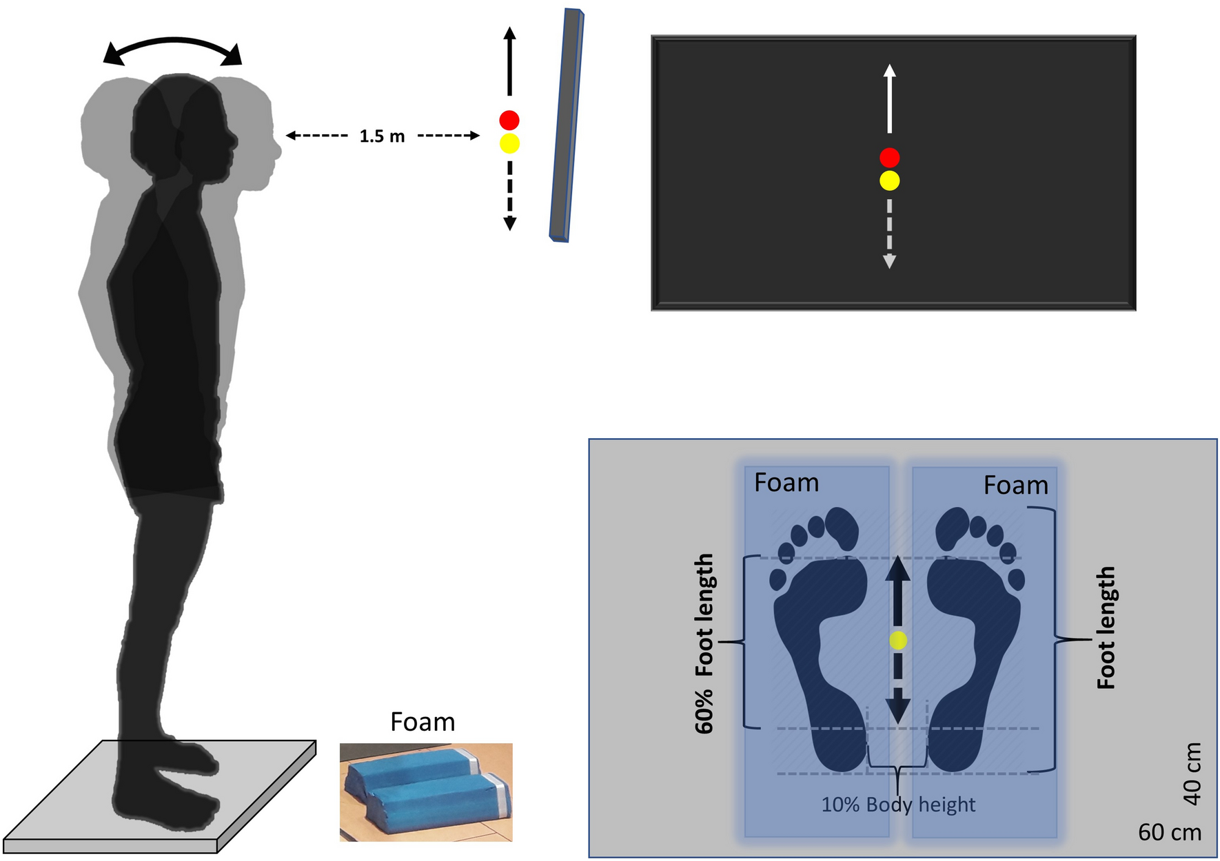 Standing on unstable surface challenges postural control of tracking tasks  and modulates neuromuscular adjustments specific to task complexity |  Scientific Reports