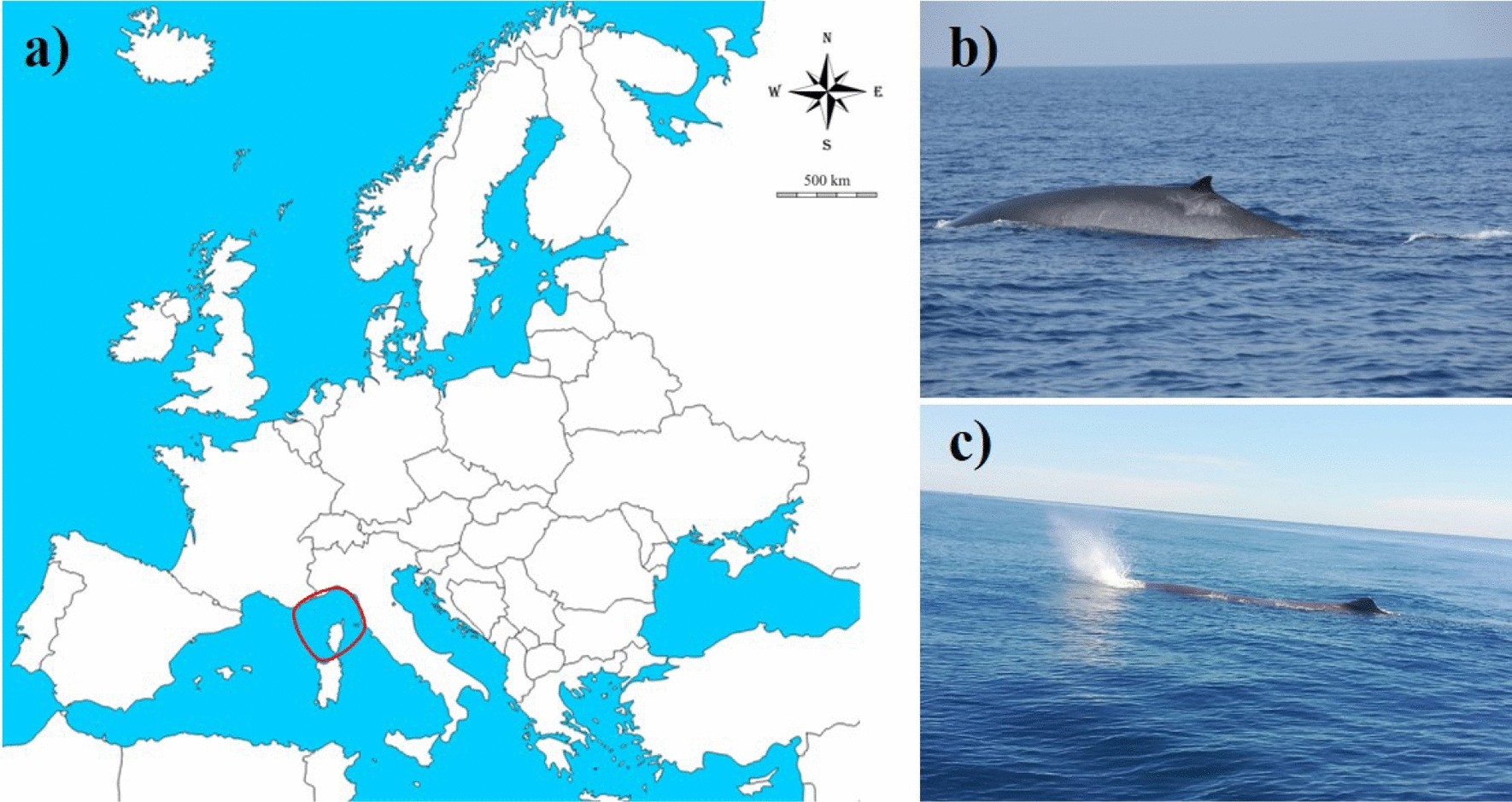 Bari, Italy - Things To Do, Cost of Living Budget and Lifestyle Information, image size:1770x939