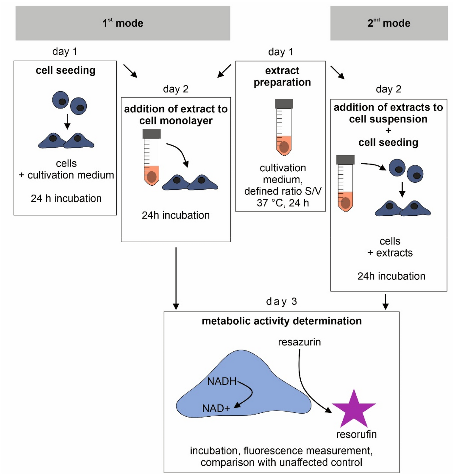 A diagram depicting in vivo and in vitro testing.