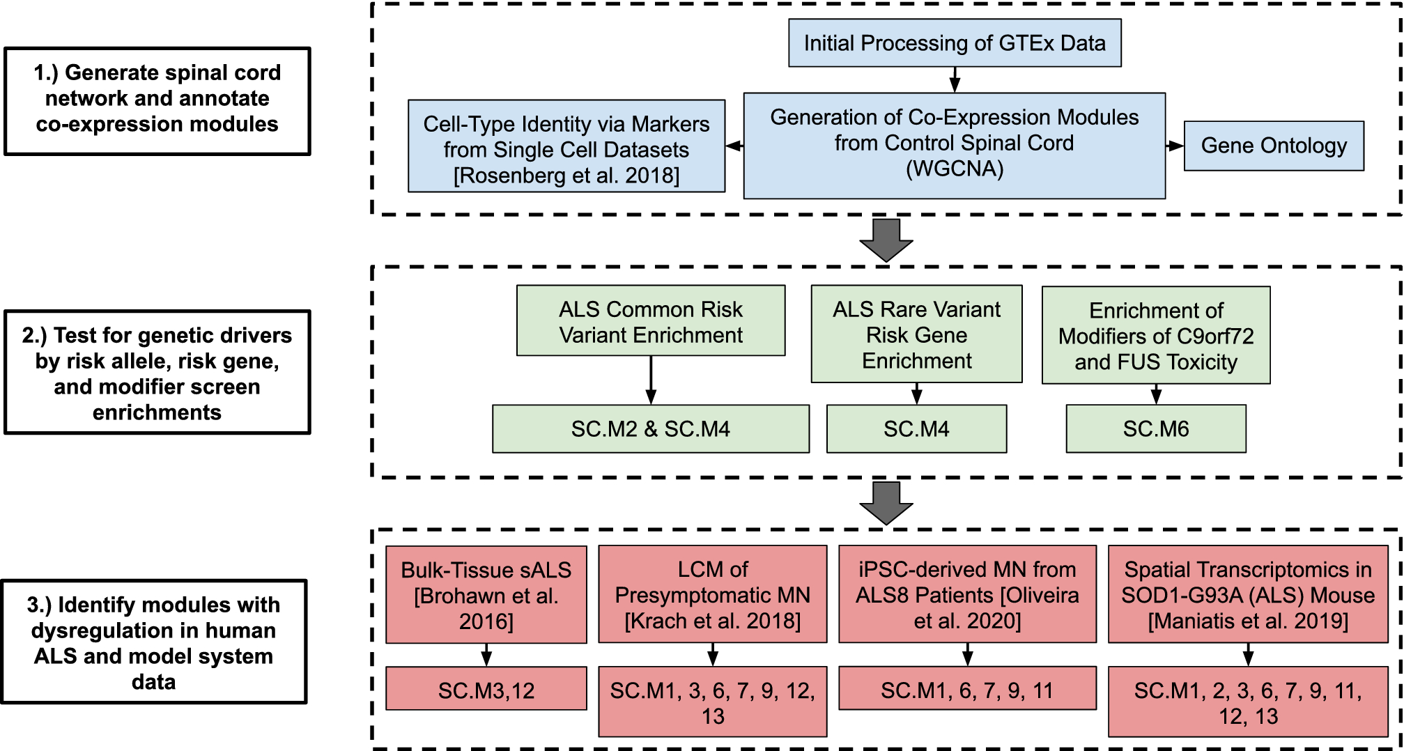 Gene co-expression network analysis in human spinal cord highlights  mechanisms underlying amyotrophic lateral sclerosis susceptibility |  Scientific Reports