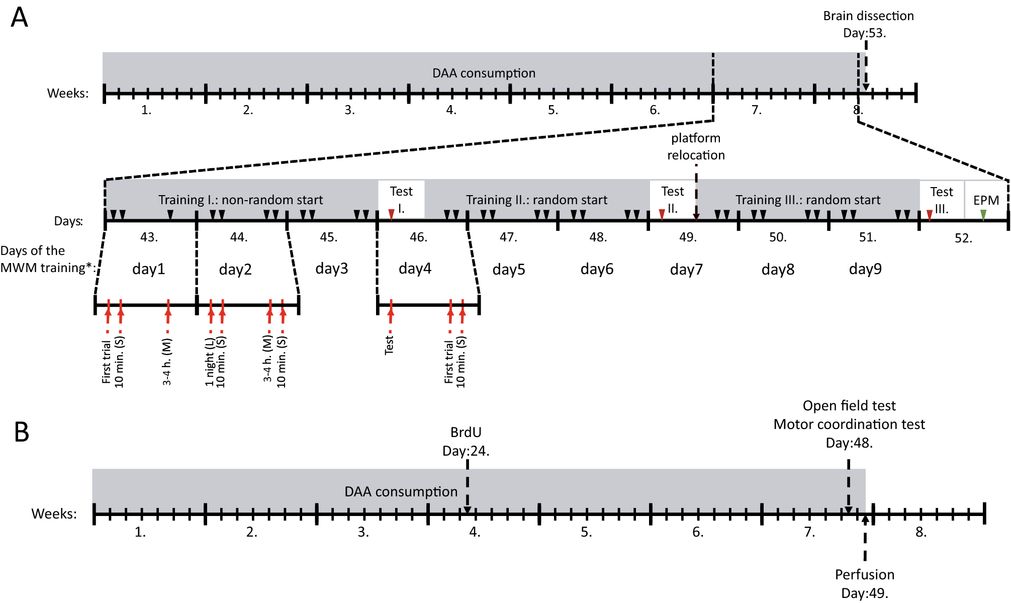 nmda d-aspartic acid