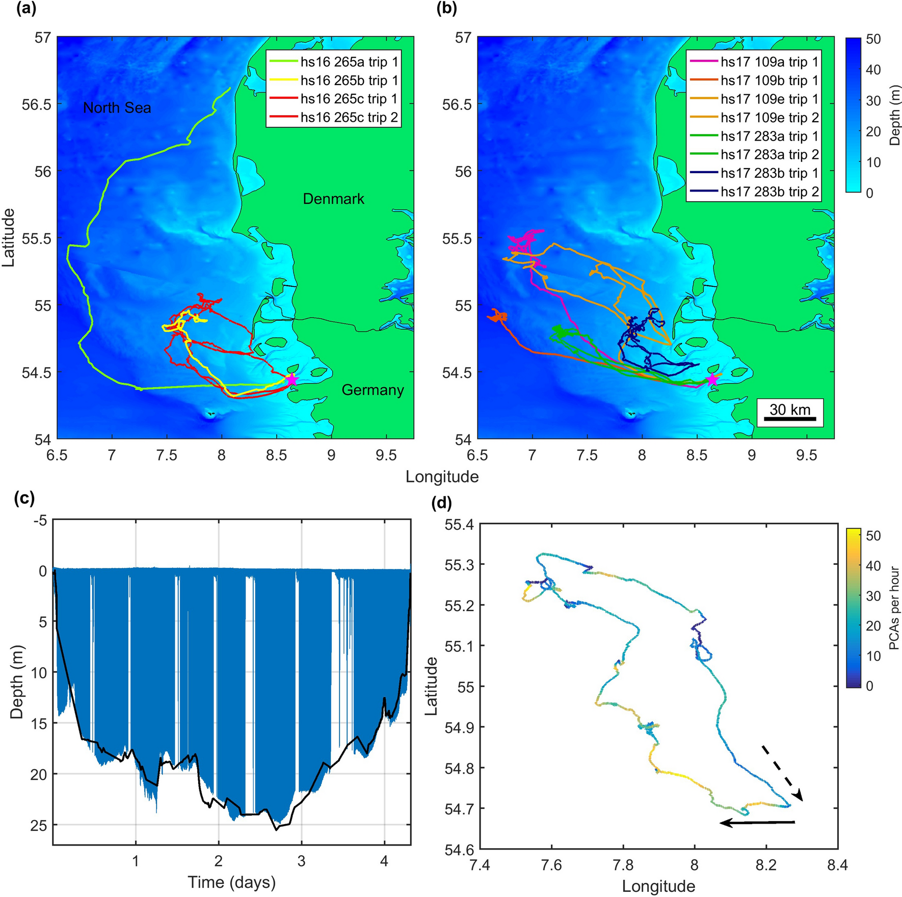 Drivers And Constraints On Offshore Foraging In Harbour Seals Scientific Reports