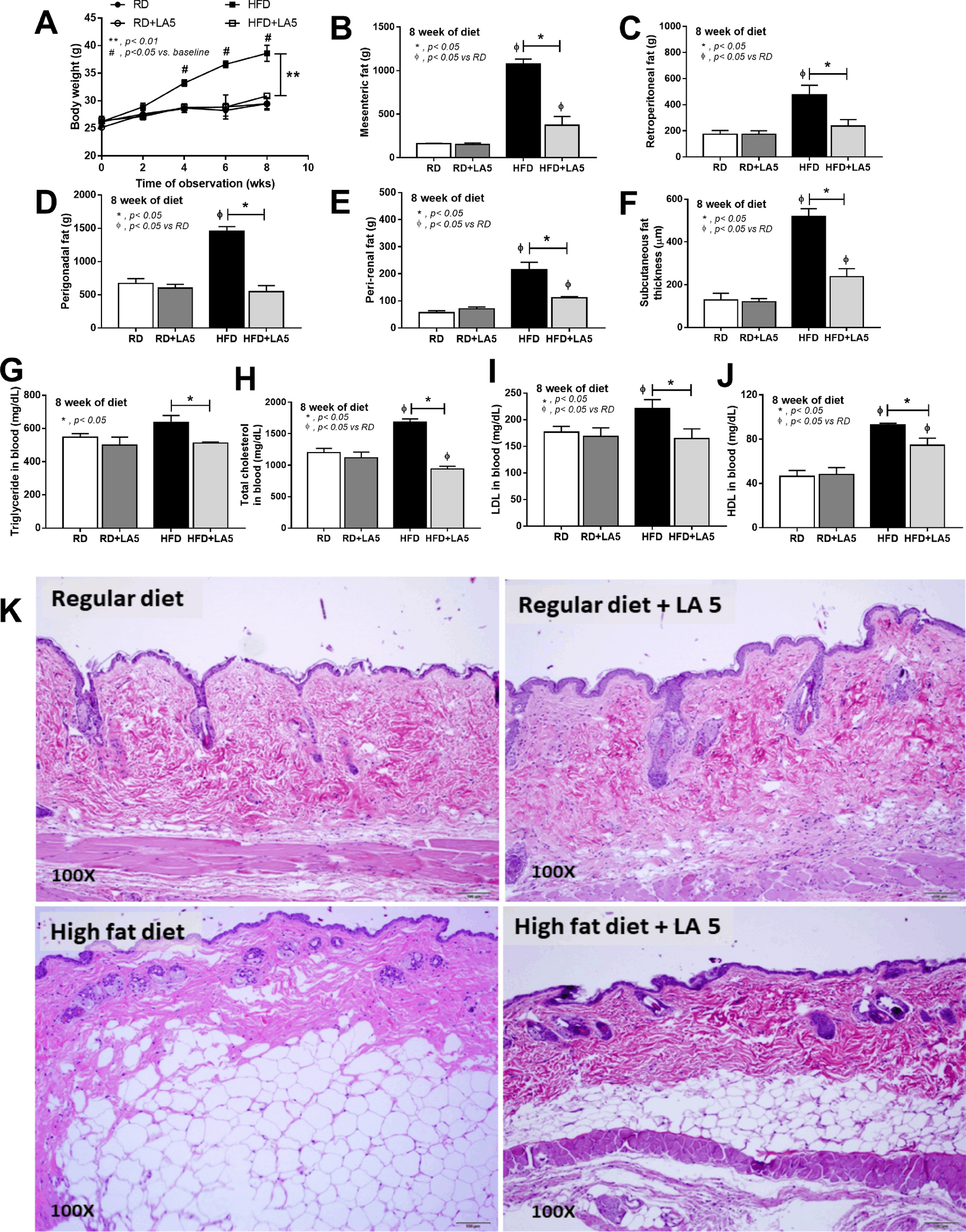Lactobacillus acidophilus LA5 improves saturated fat-induced obesity mouse  model through the enhanced intestinal Akkermansia muciniphila | Scientific  Reports