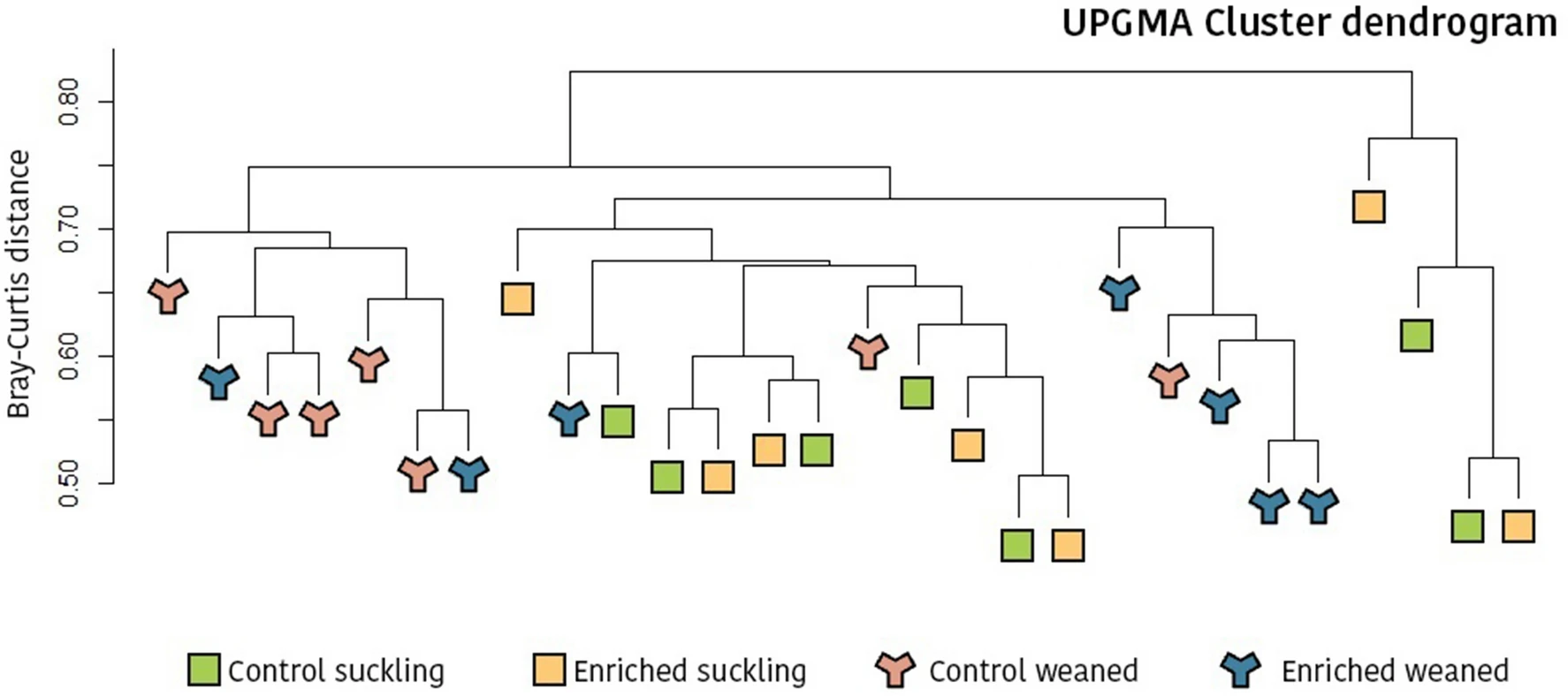 Early socialization and environmental enrichment of lactating piglets affects the caecal microbiota and metabolomic response after weaning