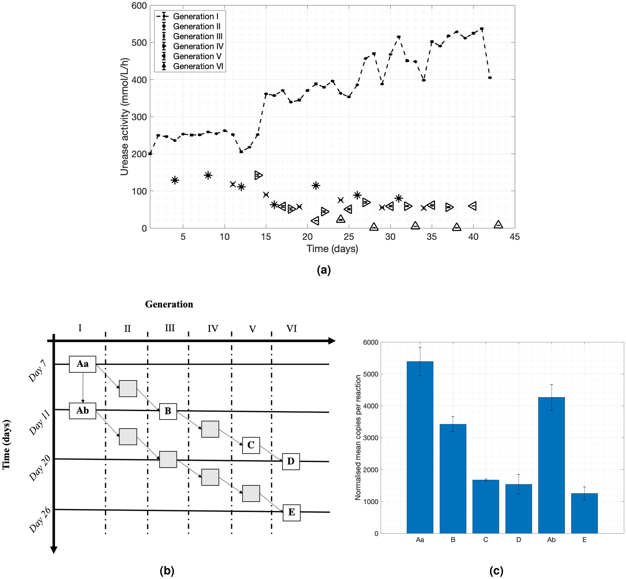 The Role Of Bacterial Urease Activity On The Uniformity Of Carbonate Precipitation Profiles Of Bio Treated Coarse Sand Specimens Scientific Reports
