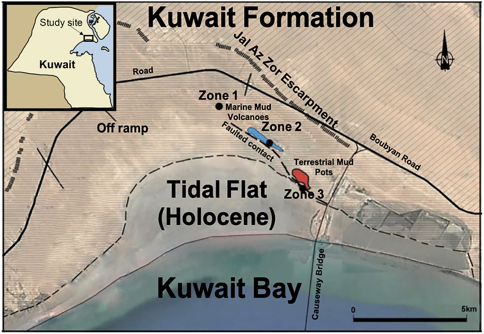 Dolomite genesis in bioturbated marine zones of an early-middle Miocene  coastal mud volcano outcrop (Kuwait) | Scientific Reports