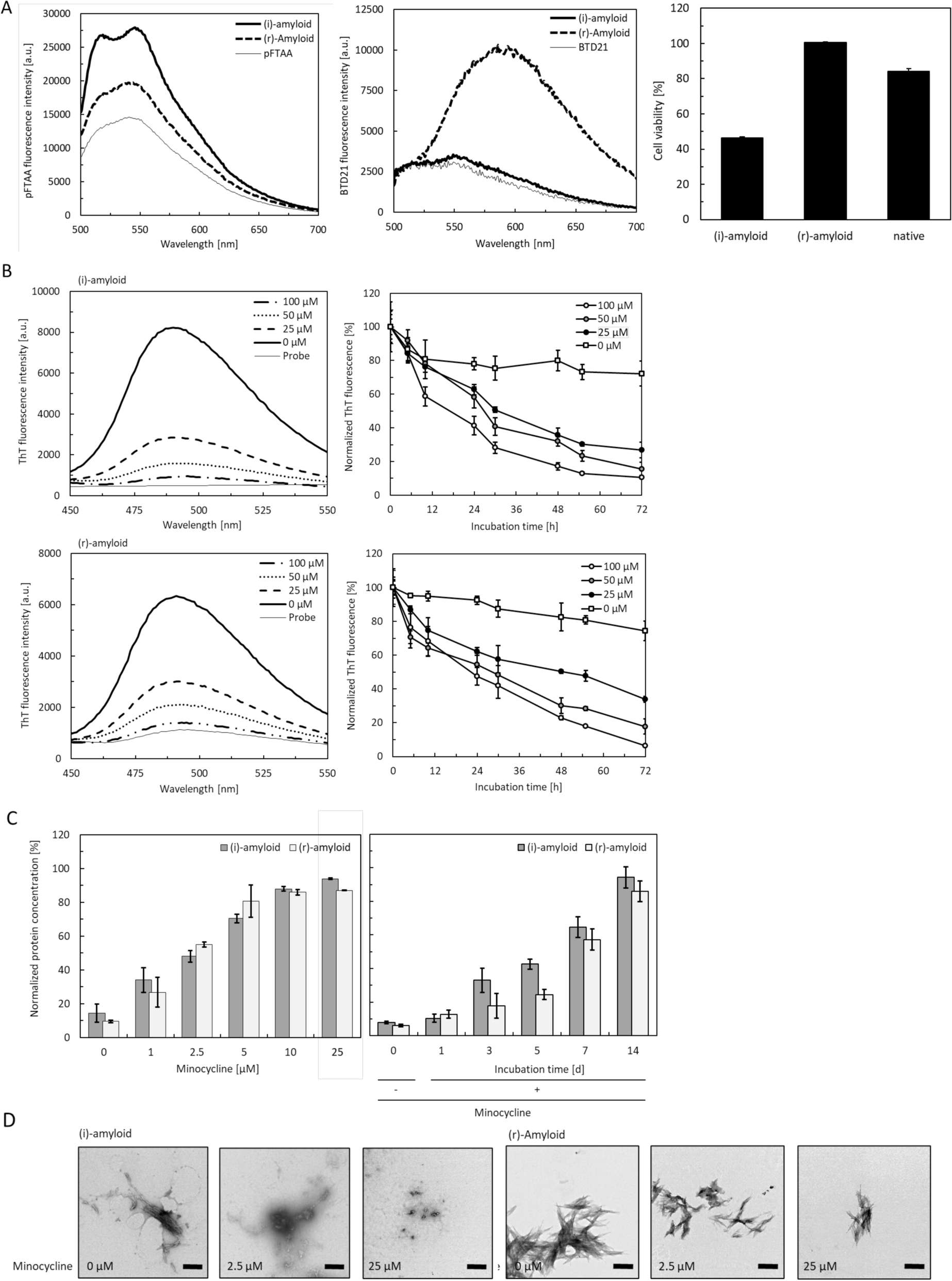Degradation Of Insulin Amyloid By Antibiotic Minocycline And Formation Of Toxic Intermediates Scientific Reports