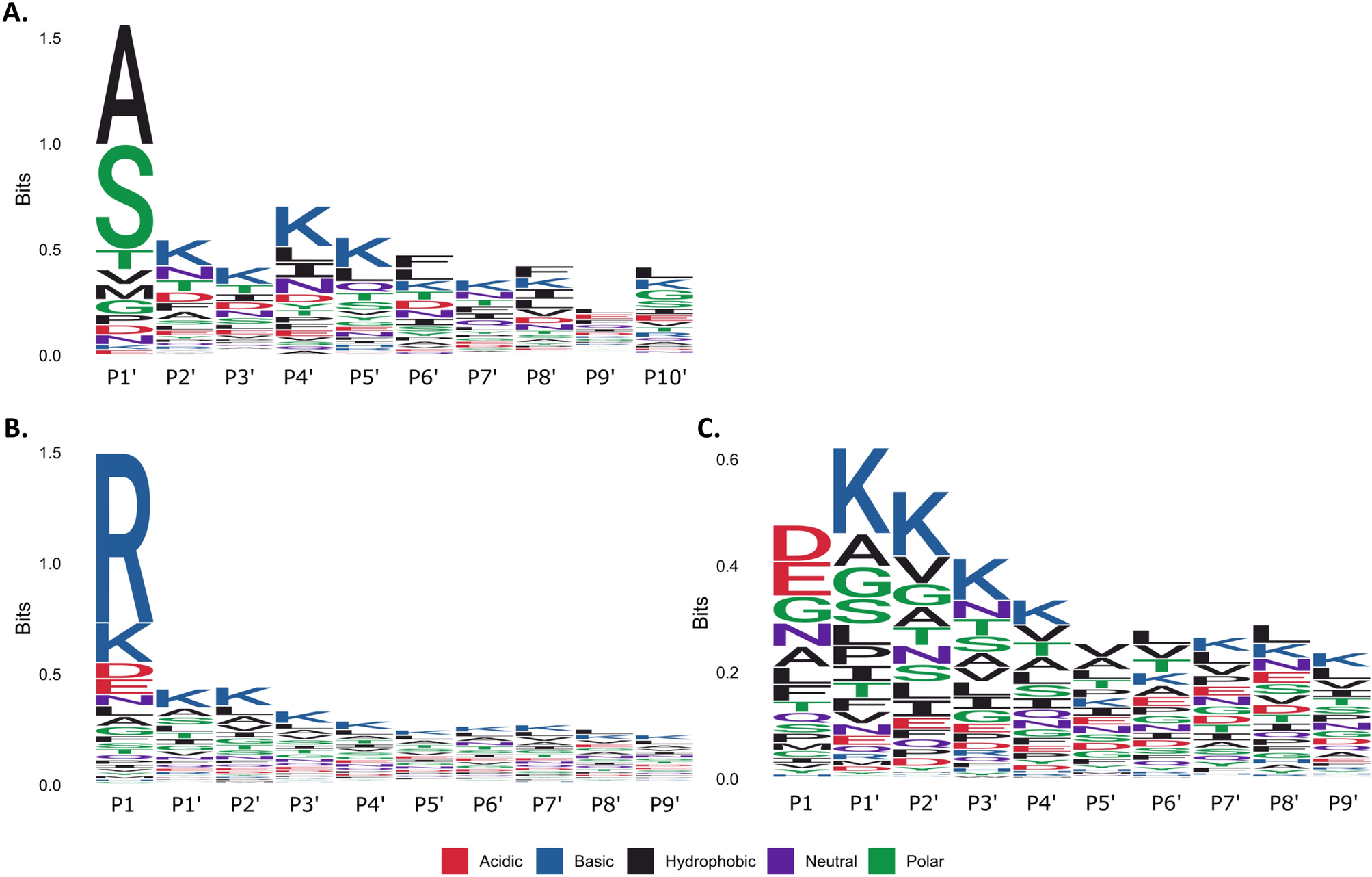 Protein Cleavage Influences Surface Protein Presentation In Mycoplasma Pneumoniae Scientific Reports