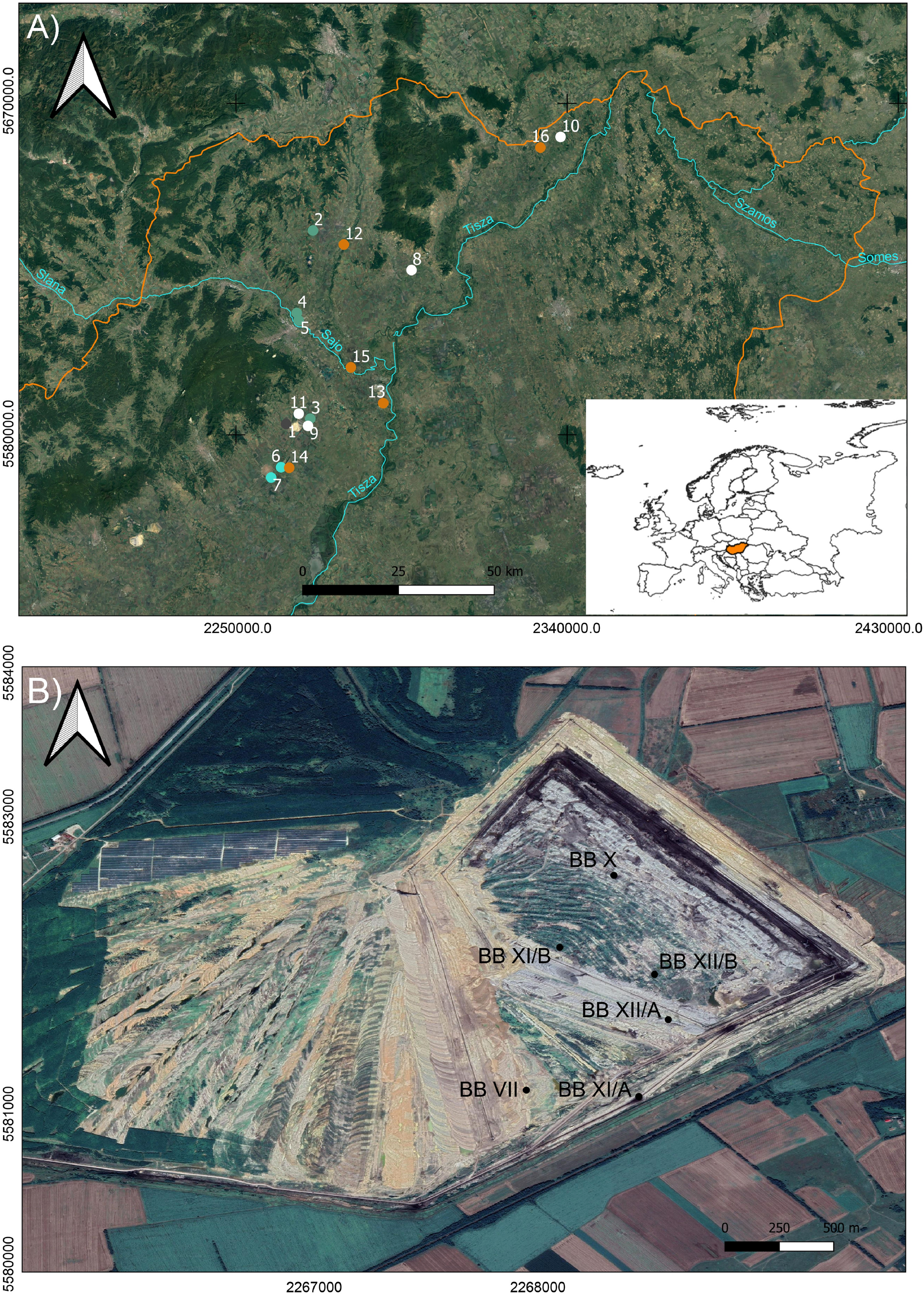 Integrating buccal and occlusal dental microwear with isotope analyses for  a complete paleodietary reconstruction of Holocene populations from Hungary  | Scientific Reports