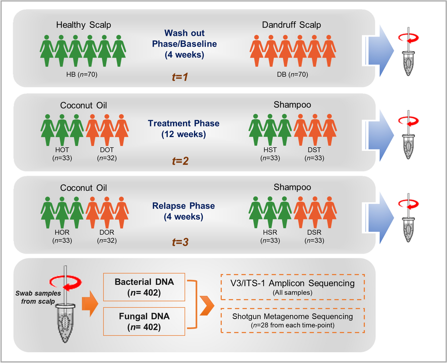 Longitudinal study of the scalp microbiome suggests coconut oil to enrich  healthy scalp commensals | Scientific Reports