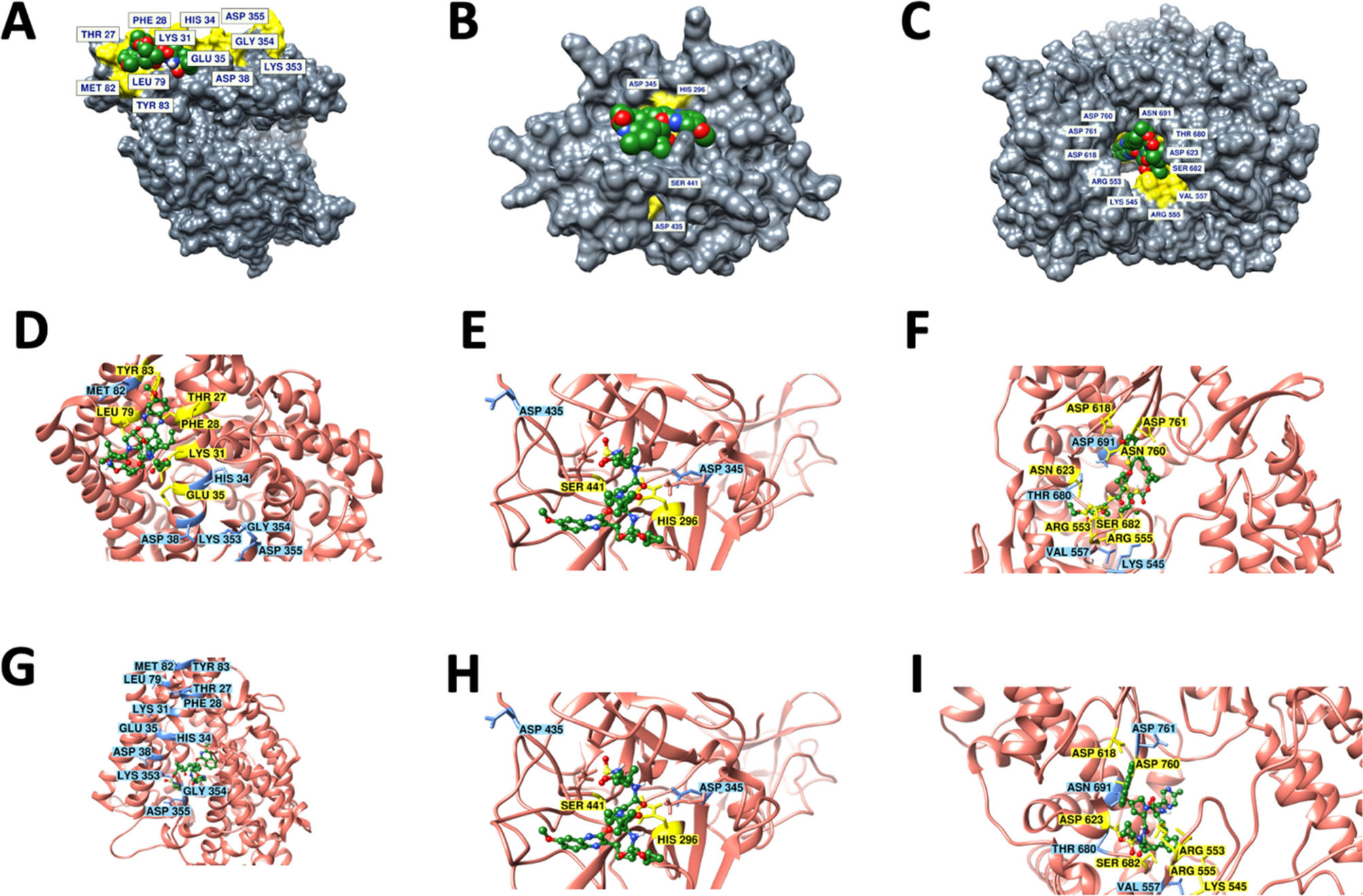 Computational Drug Repurposing Study Elucidating Simultaneous Inhibition Of Entry And Replication Of Novel Corona Virus By Grazoprevir Scientific Reports