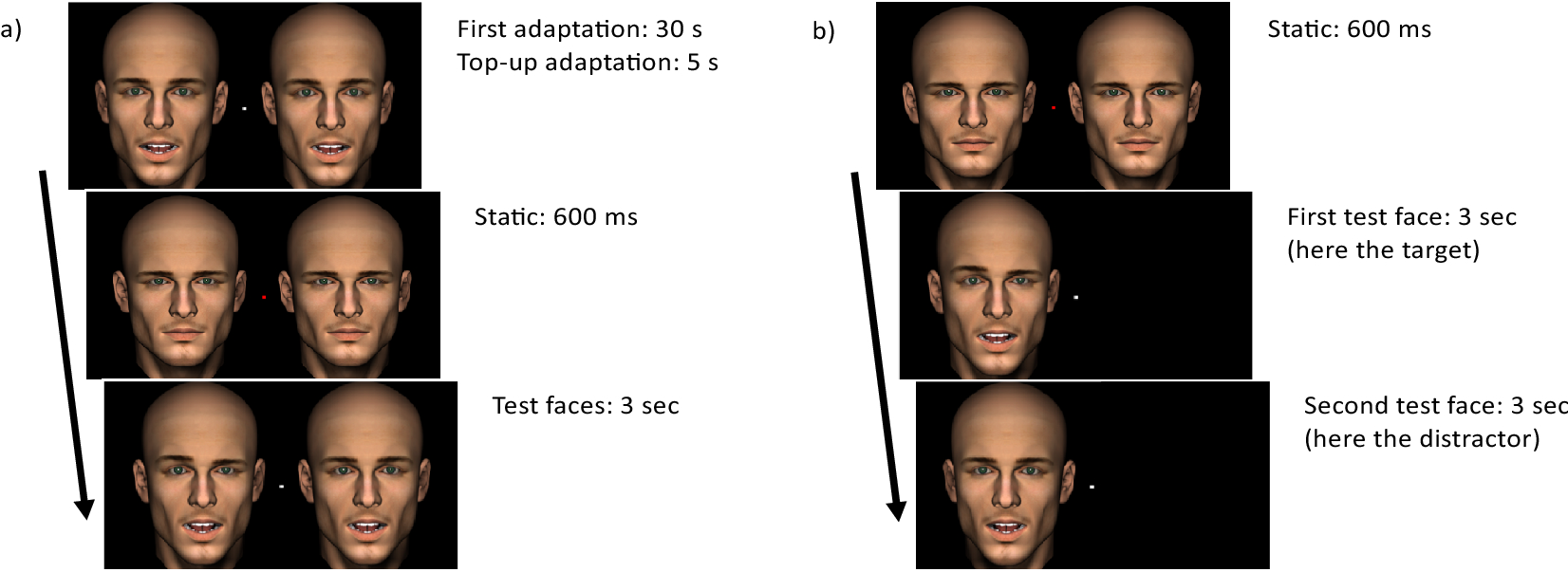 Examples of test stimuli with flanking features.