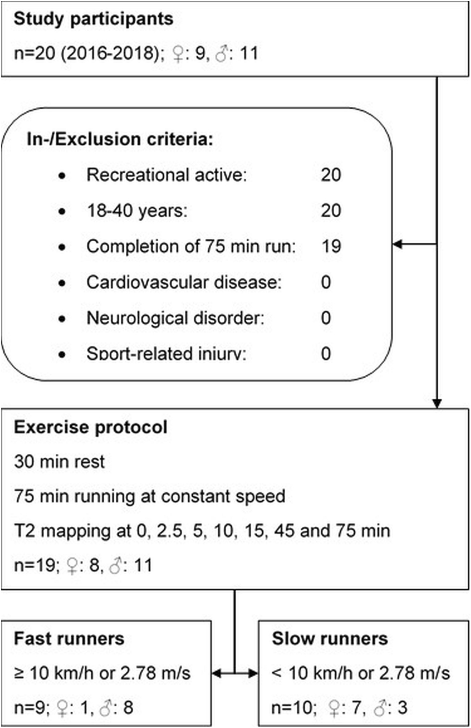 Insights Into Extrinsic Foot Muscle Activation During A 75 Min Run Using T2 Mapping Scientific Reports Insights Into Extrinsic Foot Muscle Activation During A 75 Min Run Using T2 Mapping Scientific Reports