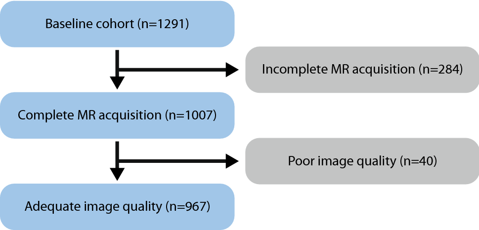 An Anomaly Detection Approach To Identify Chronic Brain Infarcts On Mri Scientific Reports