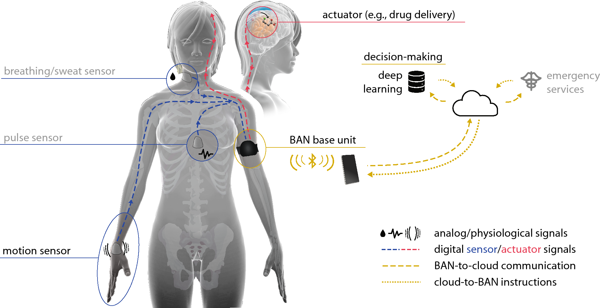 Neural signal software receives CE mark as Class I medical device