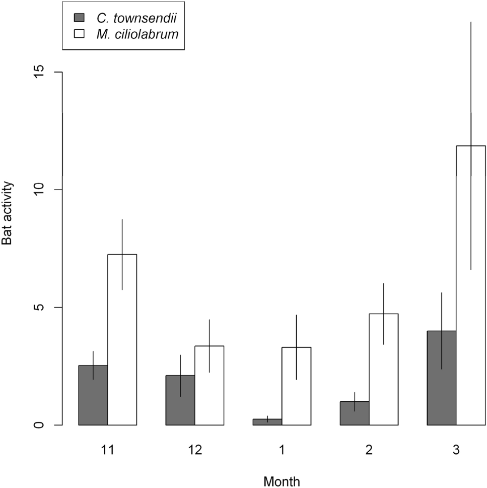 DarkCideS 1.0, a global database for bats in karsts and caves