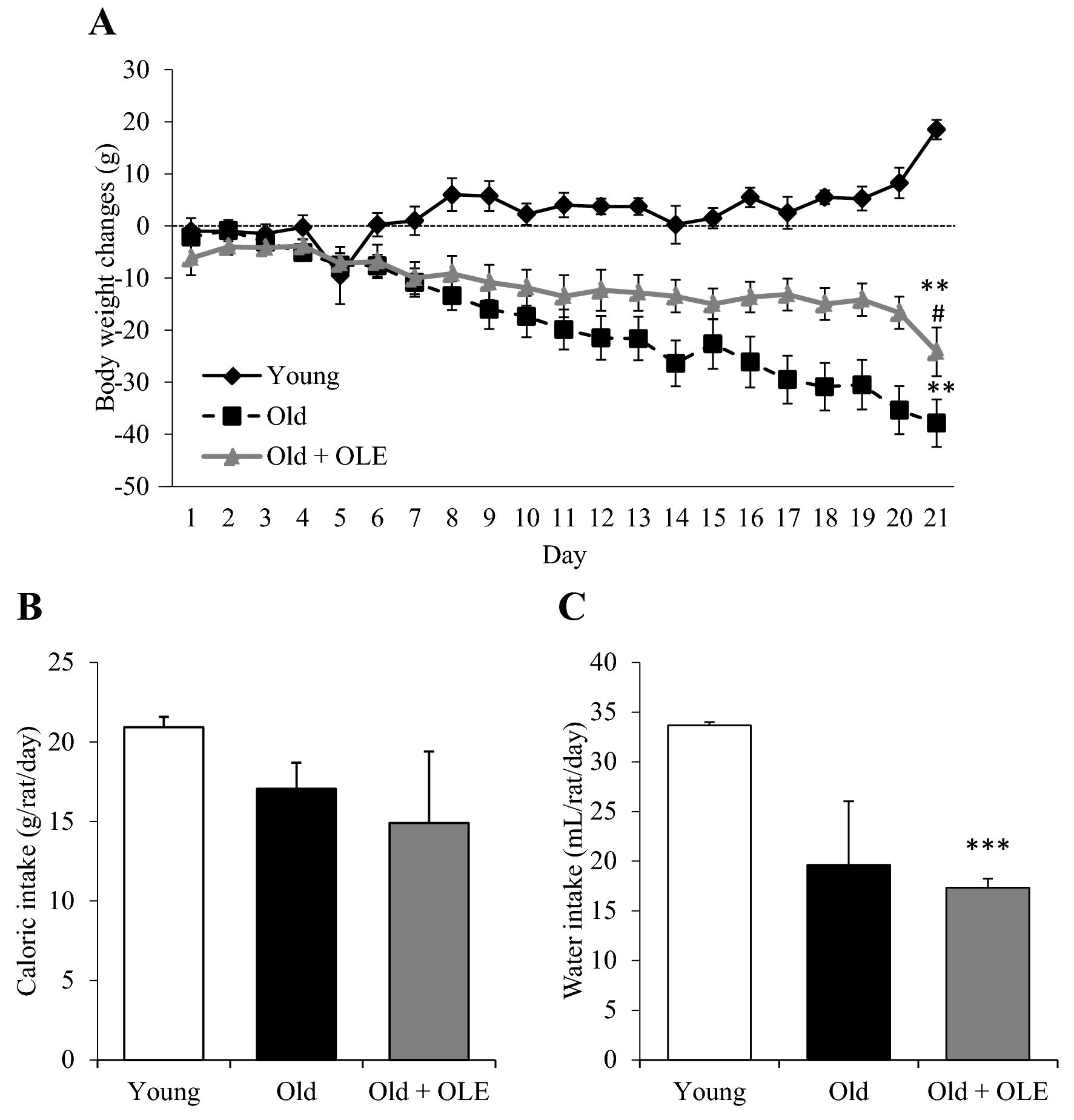 Olive leaf extract supplementation improves the vascular and metabolic  alterations associated with aging in Wistar rats | Scientific Reports