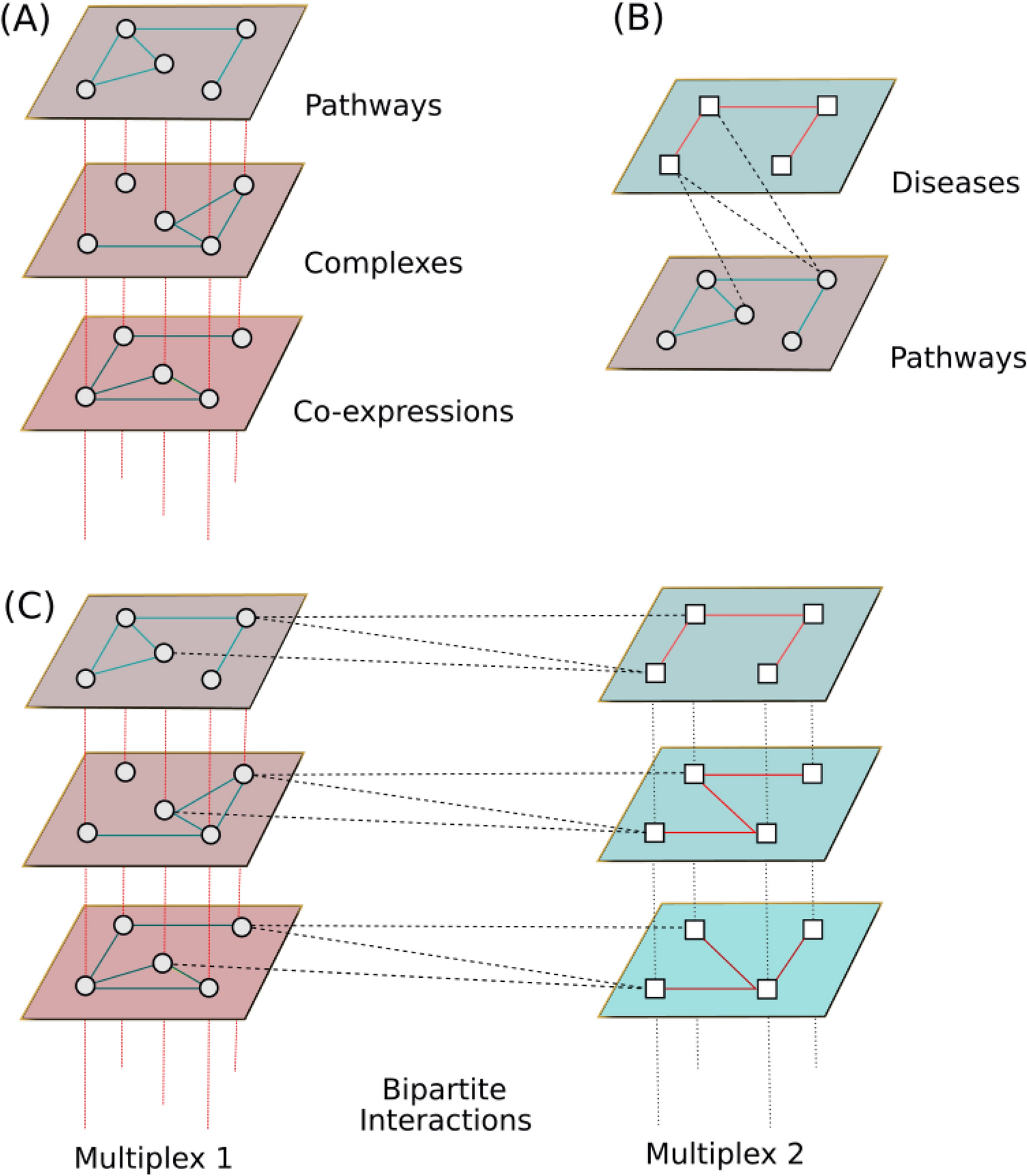 MultiVERSE: a multiplex and multiplex-heterogeneous network embedding  approach | Scientific Reports