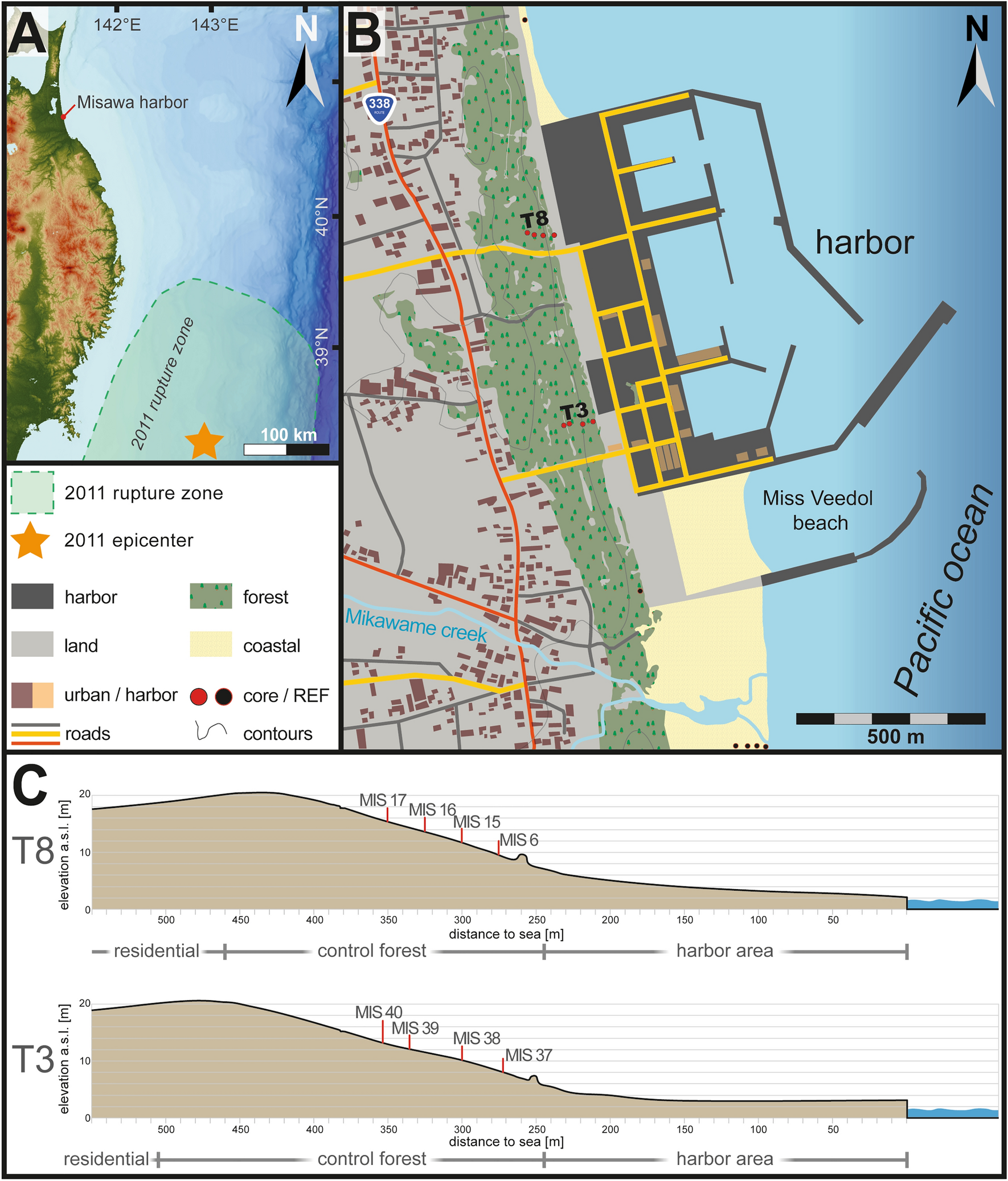 Tracing Woody Organic Tsunami Deposits Of The 11 Tohoku Oki Event In Misawa Japan Scientific Reports