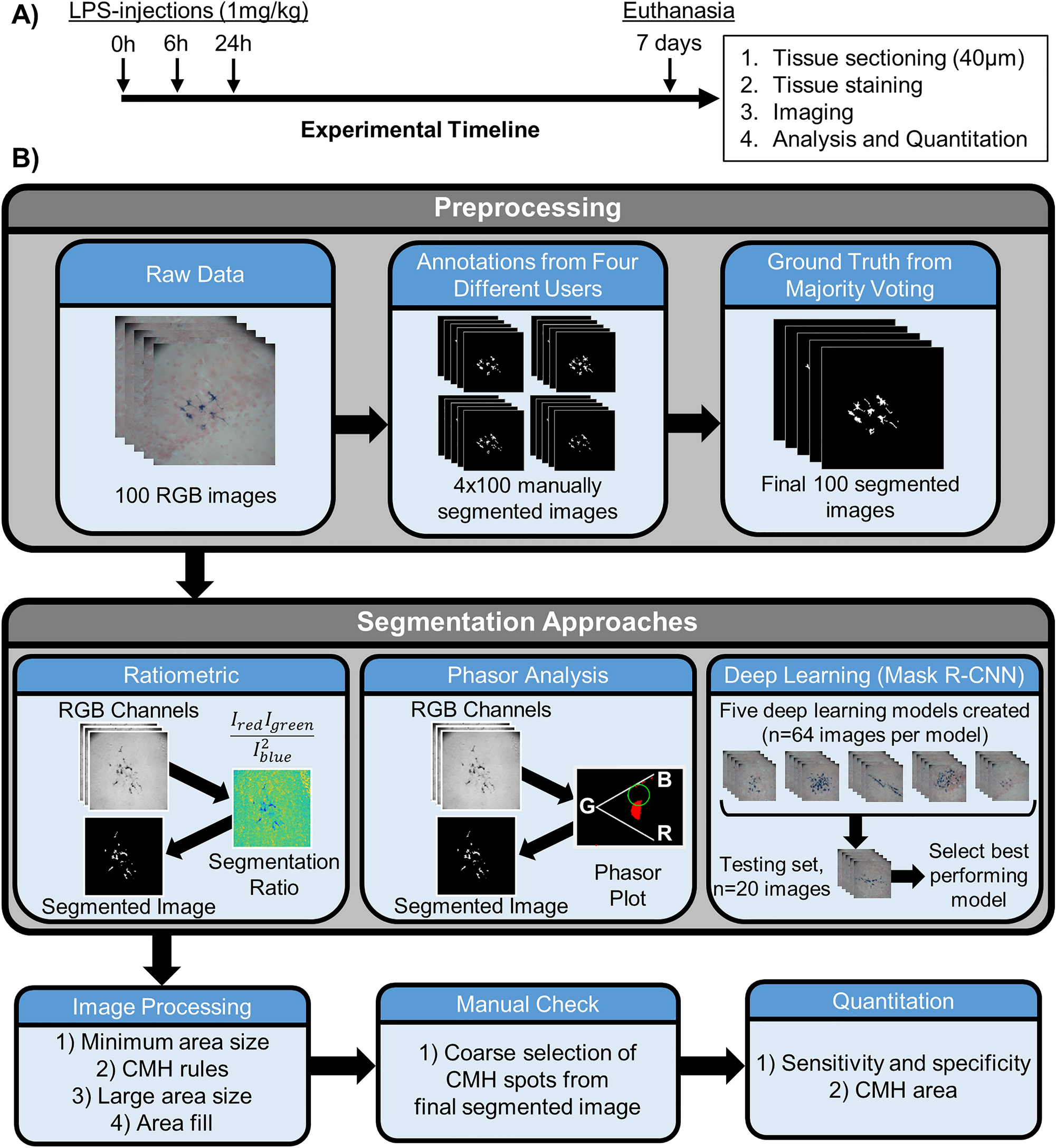 Spectroscopic And Deep Learning Based Approaches To Identify And Quantify Cerebral Microhemorrhages Scientific Reports