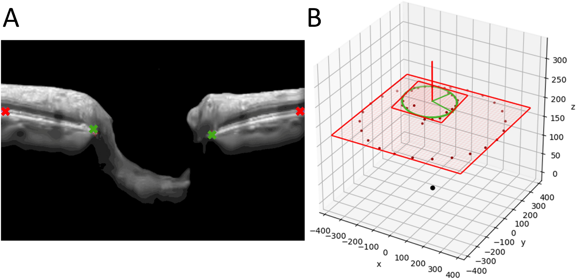 The Influence Of Axial Myopia On Optic Disc Characteristics Of Glaucoma Eyes Scientific Reports
