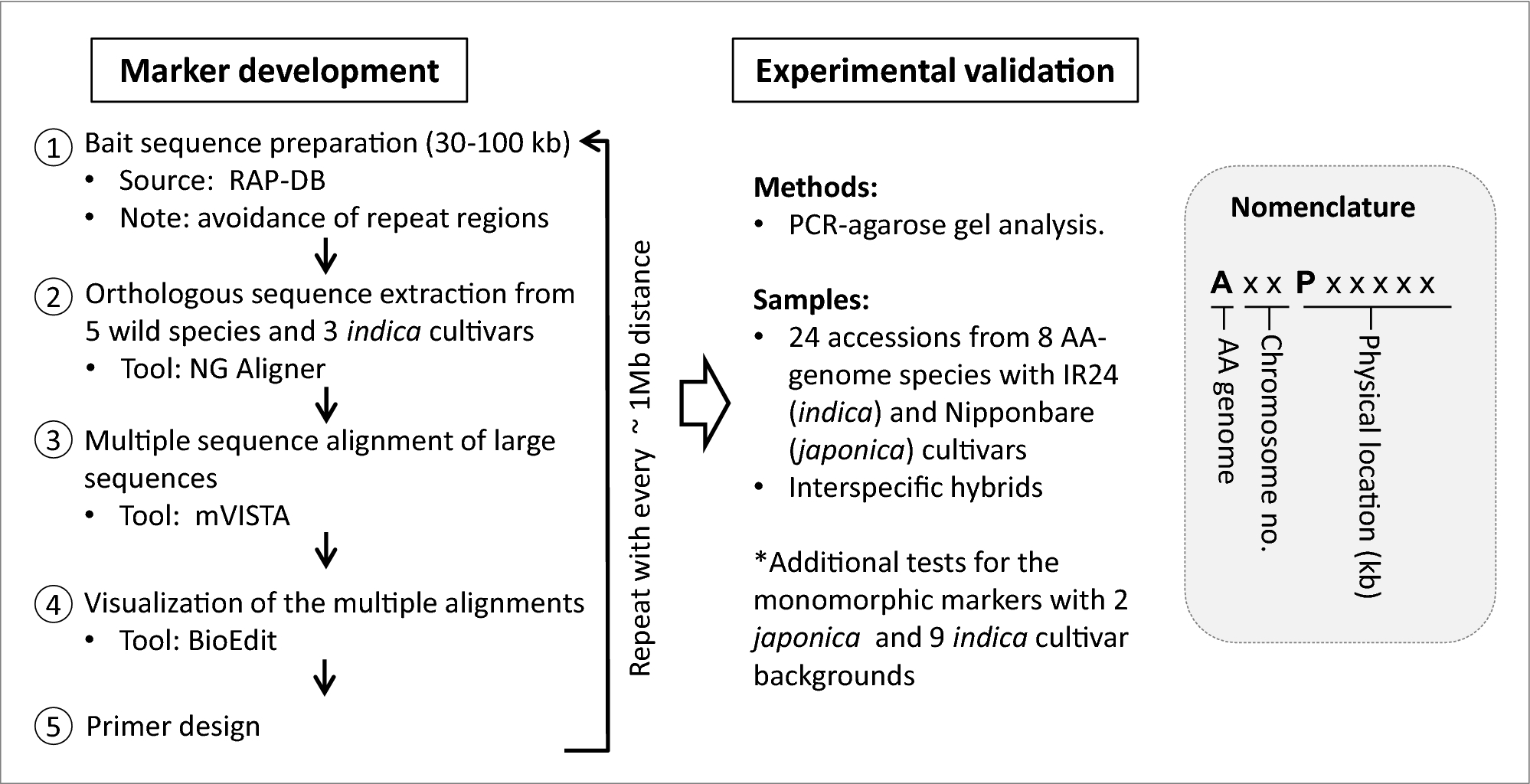 Development of a genome-wide InDel marker set for allele discrimination  between rice (Oryza sativa) and the other seven AA-genome Oryza species |  Scientific Reports