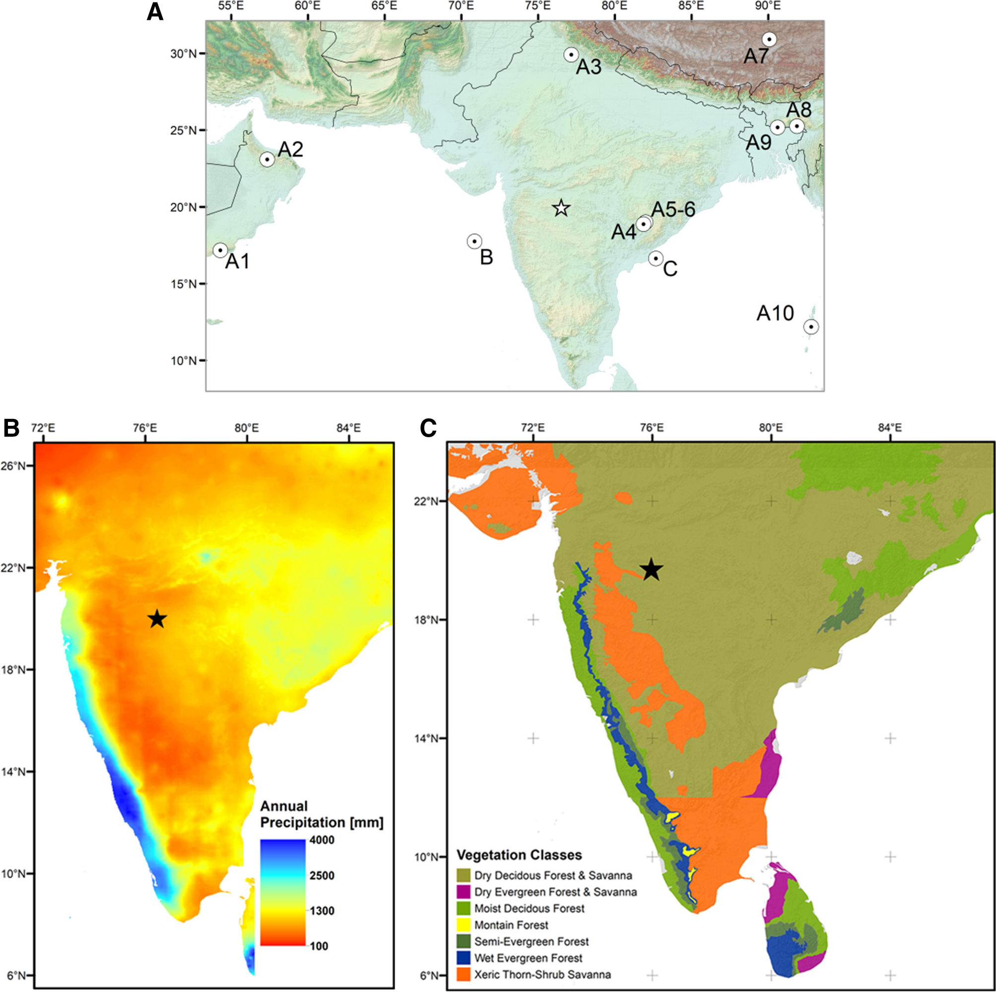 Monsoon forced evolution of savanna and the spread of agro-pastoralism in  peninsular India | Scientific Reports