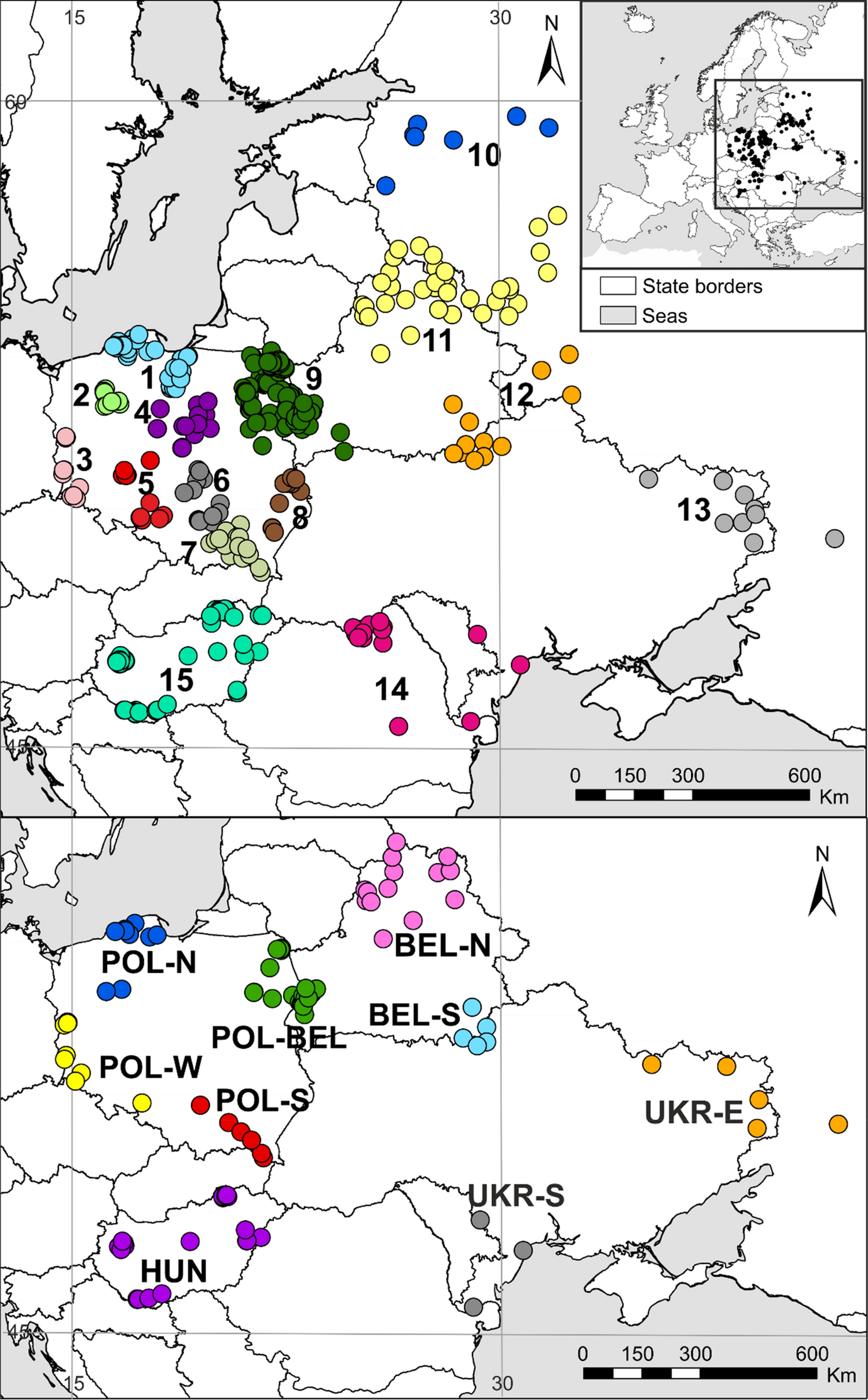 Clear phylogeographic pattern and genetic structure of wild boar Sus scrofa  population in Central and Eastern Europe | Scientific Reports