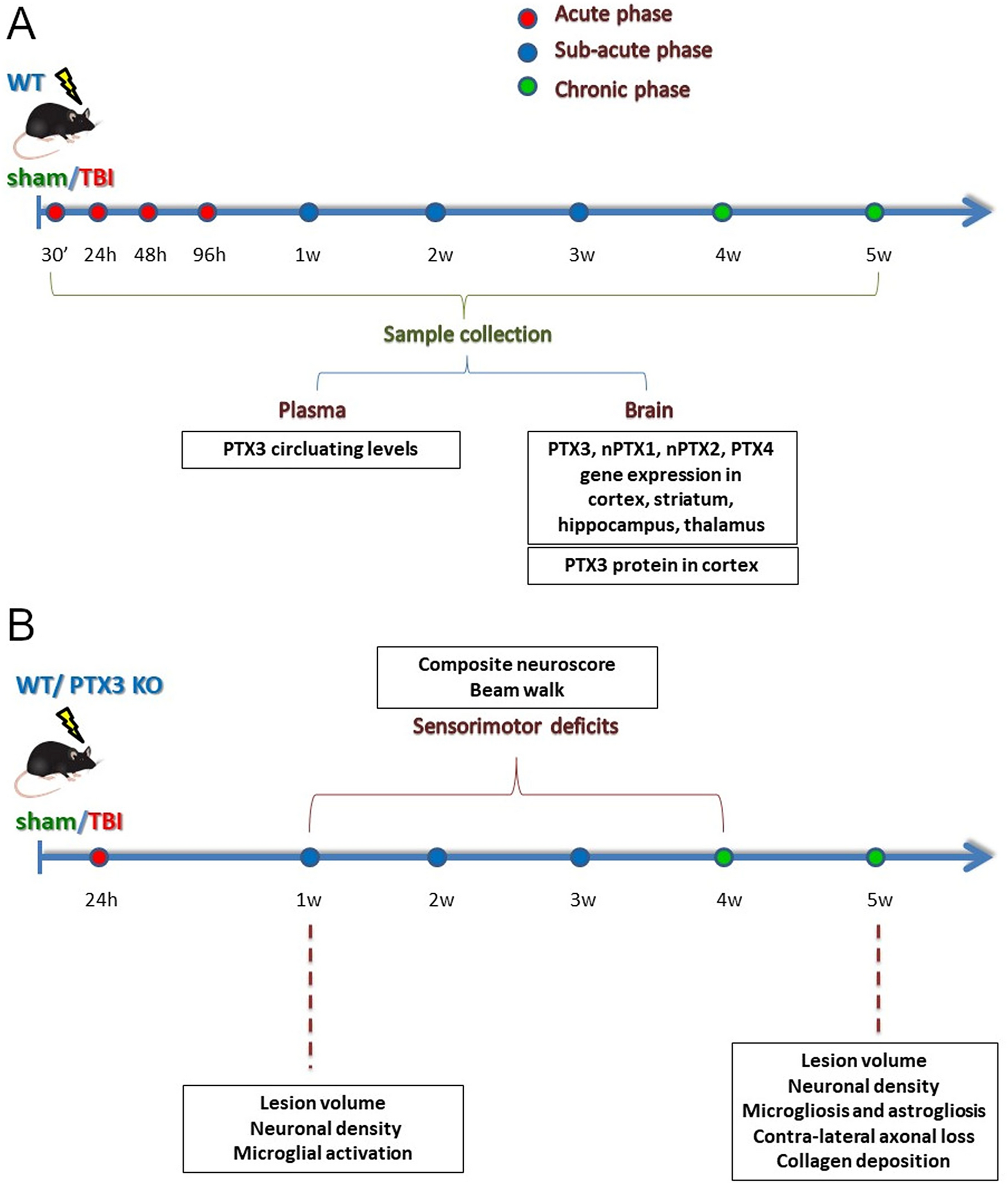 https://media.springernature.com/full/springer-static/image/art%3A10.1038%2Fs41598-021-89032-7/MediaObjects/41598_2021_89032_Fig1_HTML.png