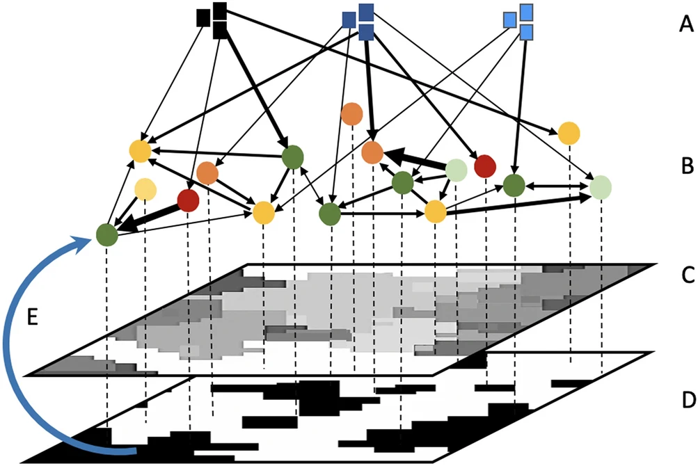 Multi-layer Network Analysis Diagram