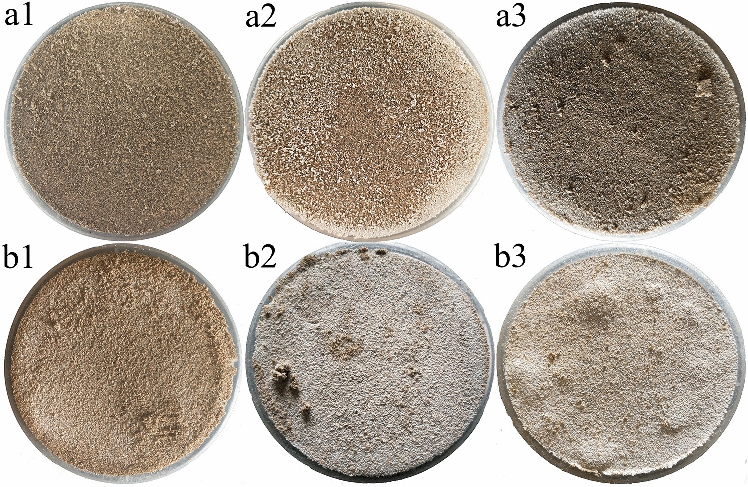 Characteristics Of Soil Salt Crust Formed By Mixing Calcium Chloride With Sodium Sulfate And The Possibility Of Inhibiting Wind Sand Flow Scientific Reports