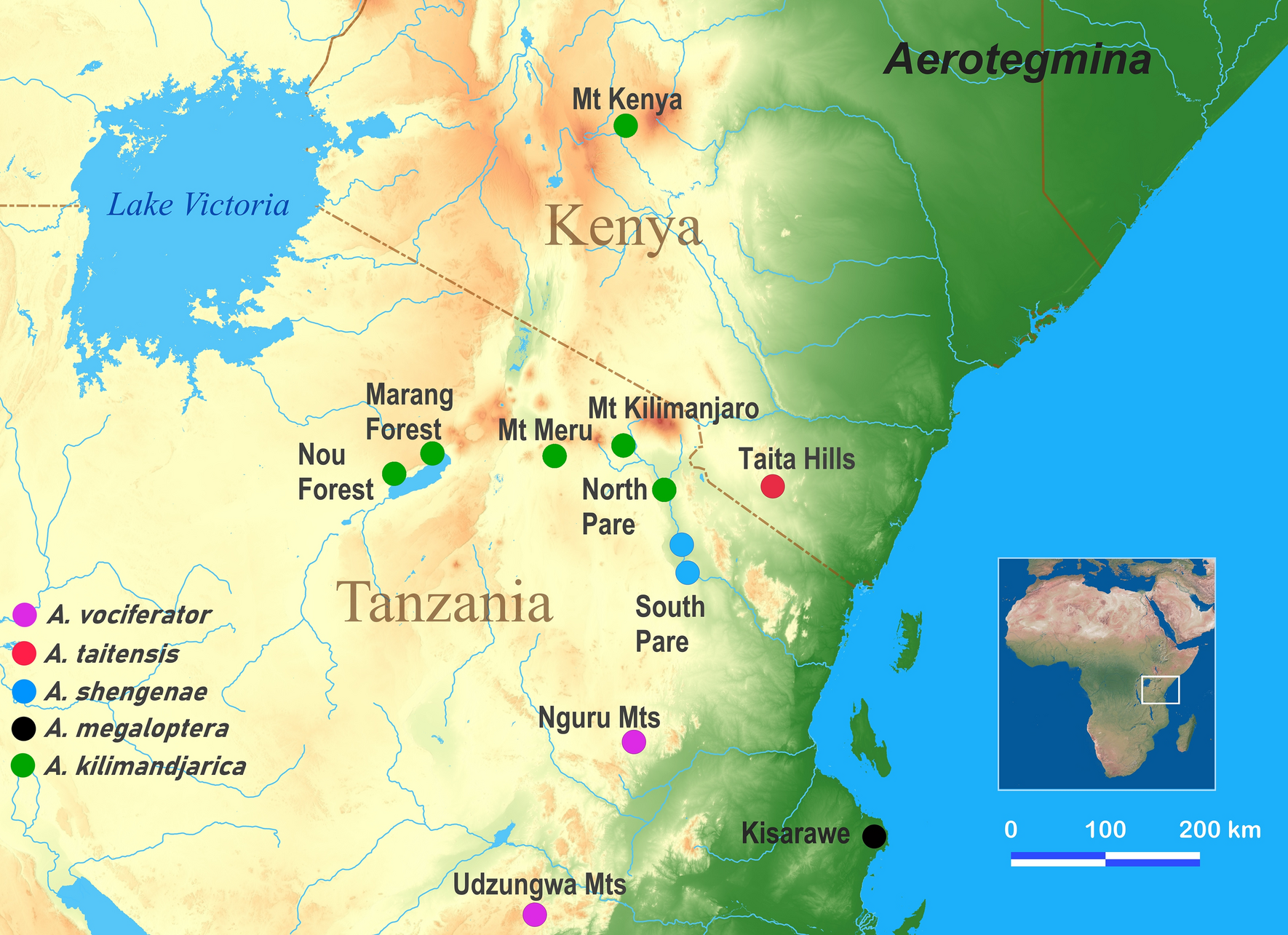 Map Of East Africa Showing Mountains Diversification Of The Balloon Bushcrickets (Orthoptera, Hexacentrinae,  Aerotegmina) In The East African Mountains | Scientific Reports