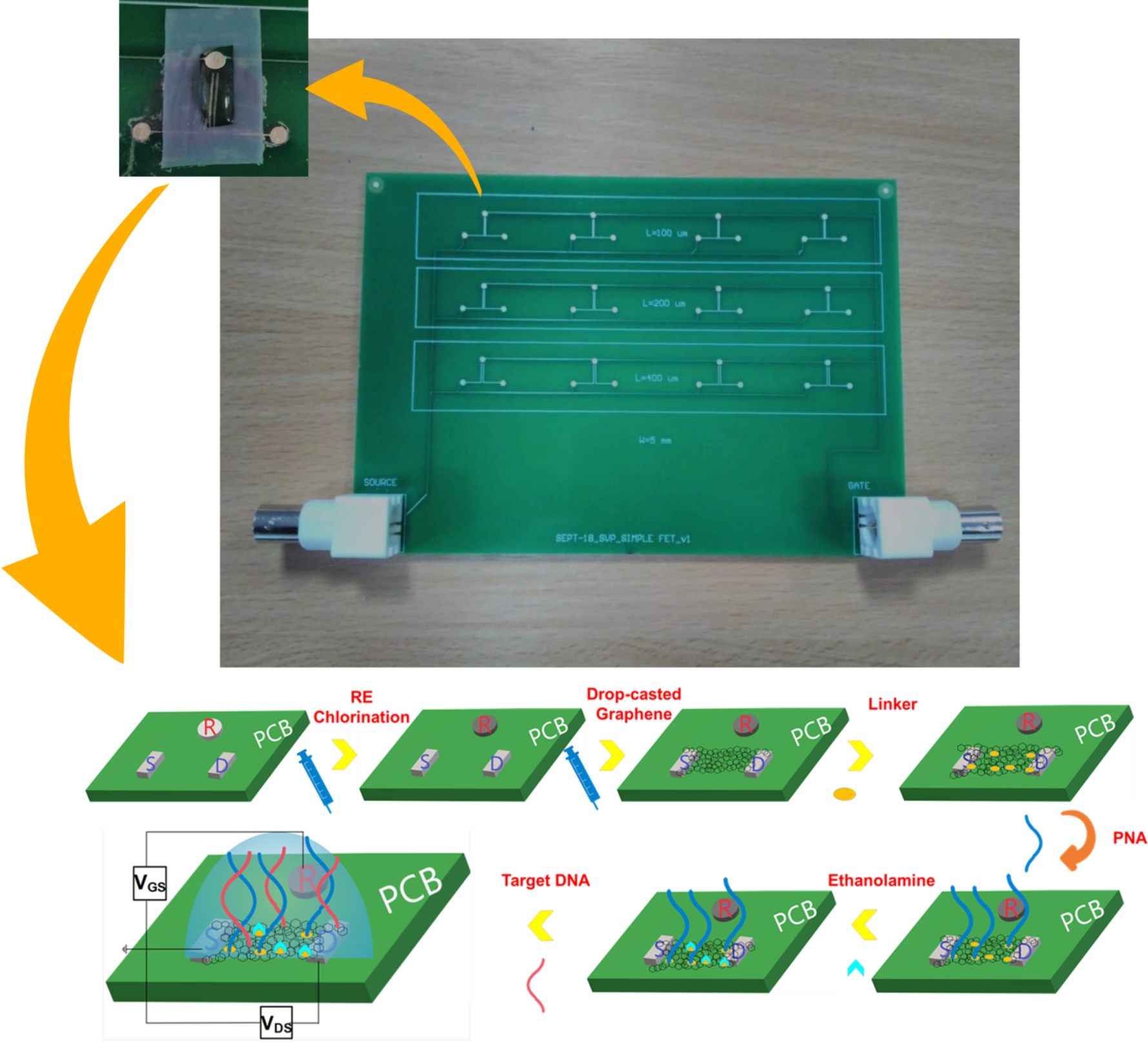 Printable graphene BioFETs for DNA quantification in Lab-on-PCB  microsystems | Scientific Reports