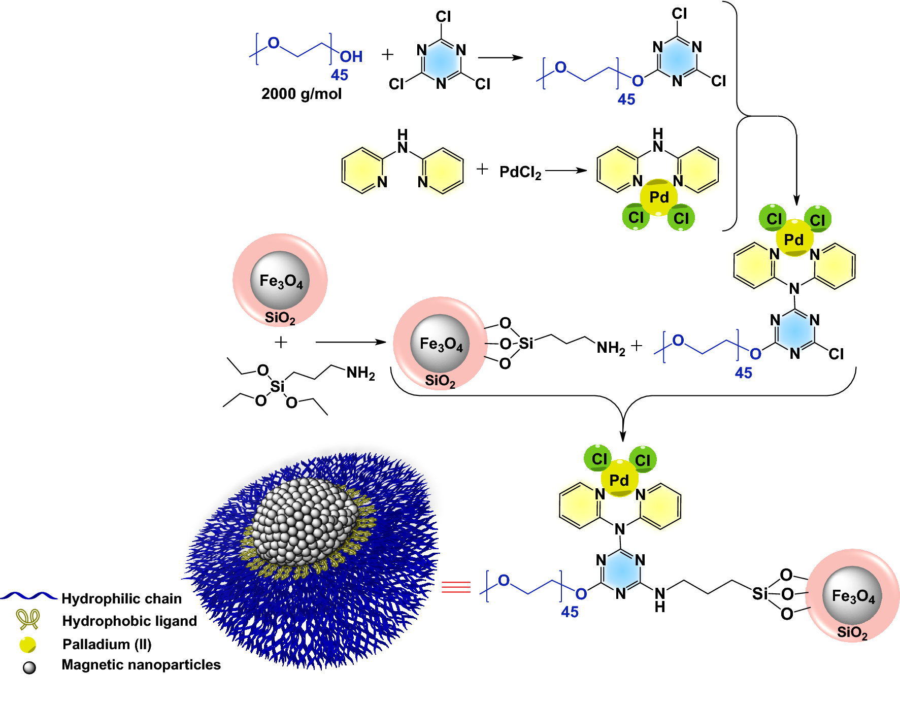 A robust polyfunctional Pd(II)-based magnetic amphiphilic nanocatalyst for  the Suzuki–Miyaura coupling reaction | Scientific Reports