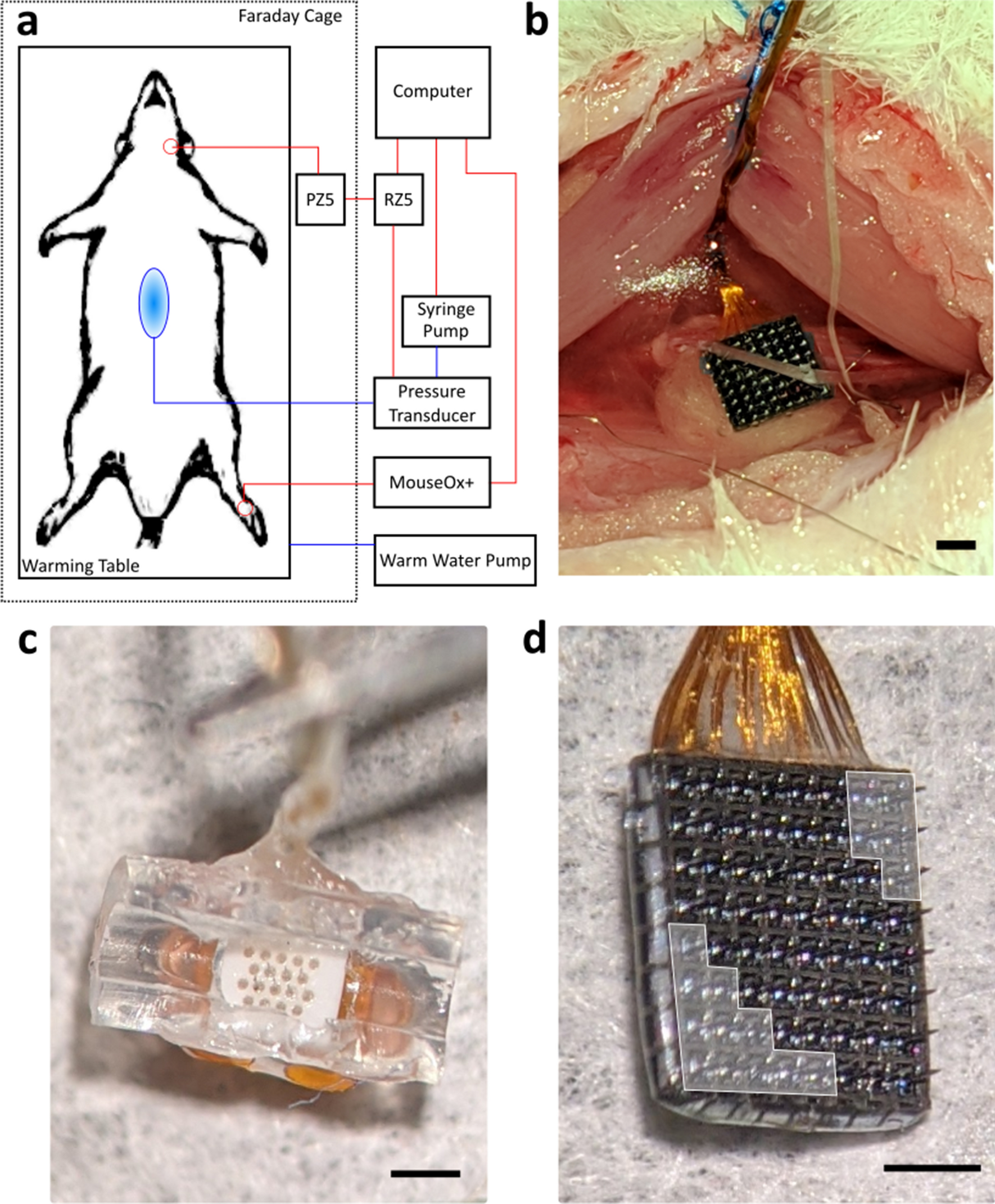 https://media.springernature.com/full/springer-static/image/art%3A10.1038%2Fs41598-021-89465-0/MediaObjects/41598_2021_89465_Fig1_HTML.png