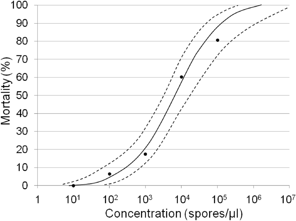 Infection Effects Of The New Microsporidian Species Tubulinosema Suzukii On Its Host Drosophila Suzukii Scientific Reports
