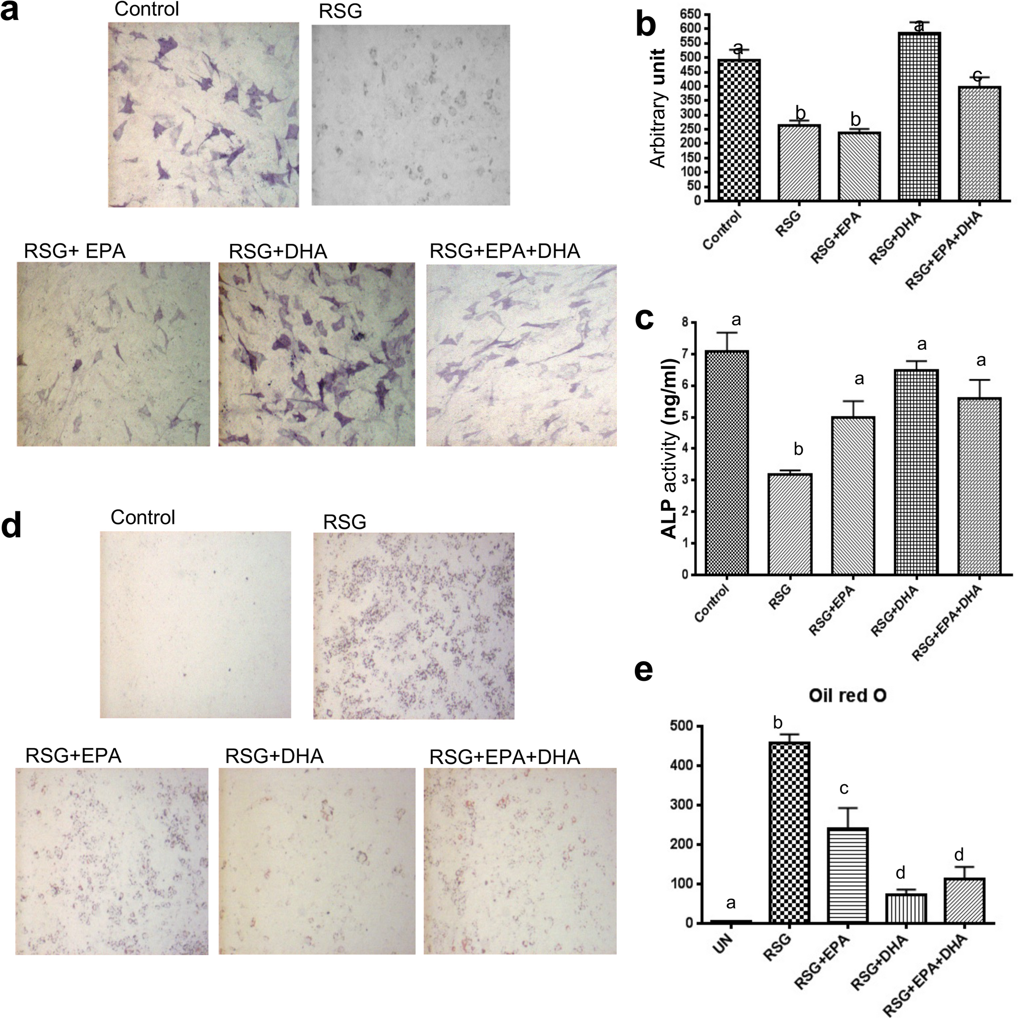Omega 3 Fatty Acid Rich Fish Oil Supplementation Prevents Rosiglitazone Induced Osteopenia In Aging C57bl 6 Mice And In Vitro Studies Scientific Reports
