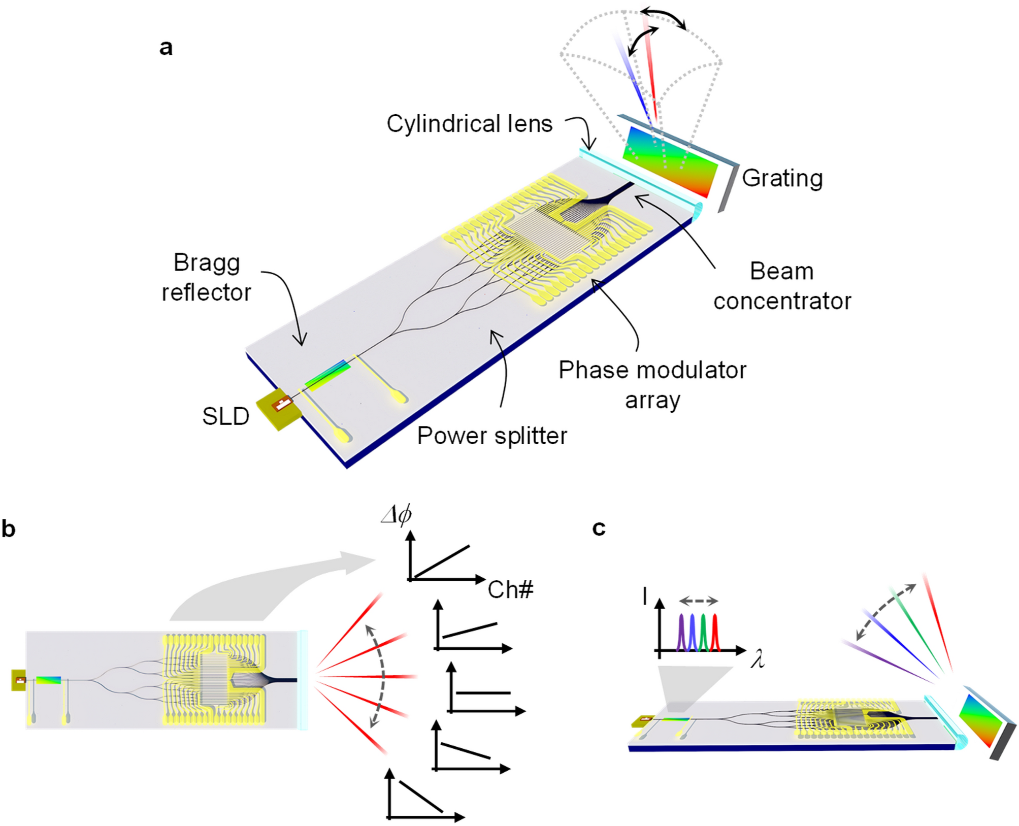 Compact solid-state optical phased array beam scanners based on polymeric  photonic integrated circuits | Scientific Reports