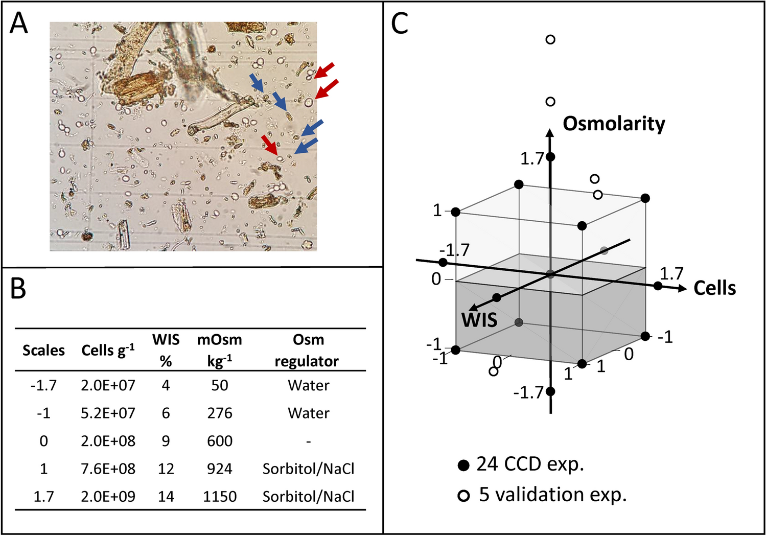 Analysis of methods for quantifying yeast cell concentration in complex  lignocellulosic fermentation processes | Scientific Reports, image size:1499x1049