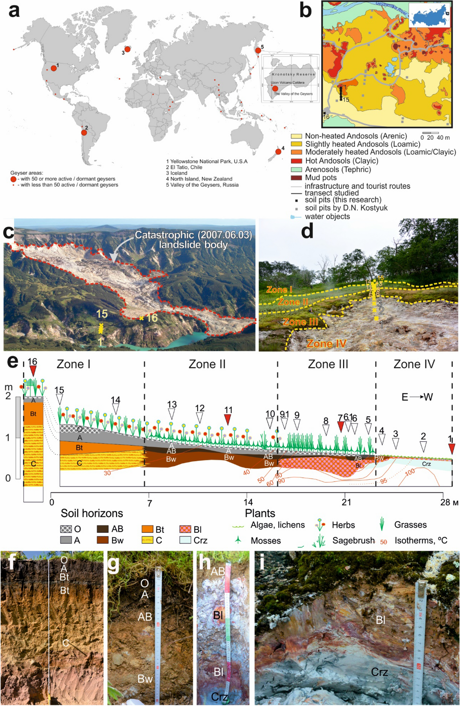 The variability of soils and vegetation of hydrothermal fields in the  Valley of Geysers at Kamchatka Peninsula | Scientific Reports