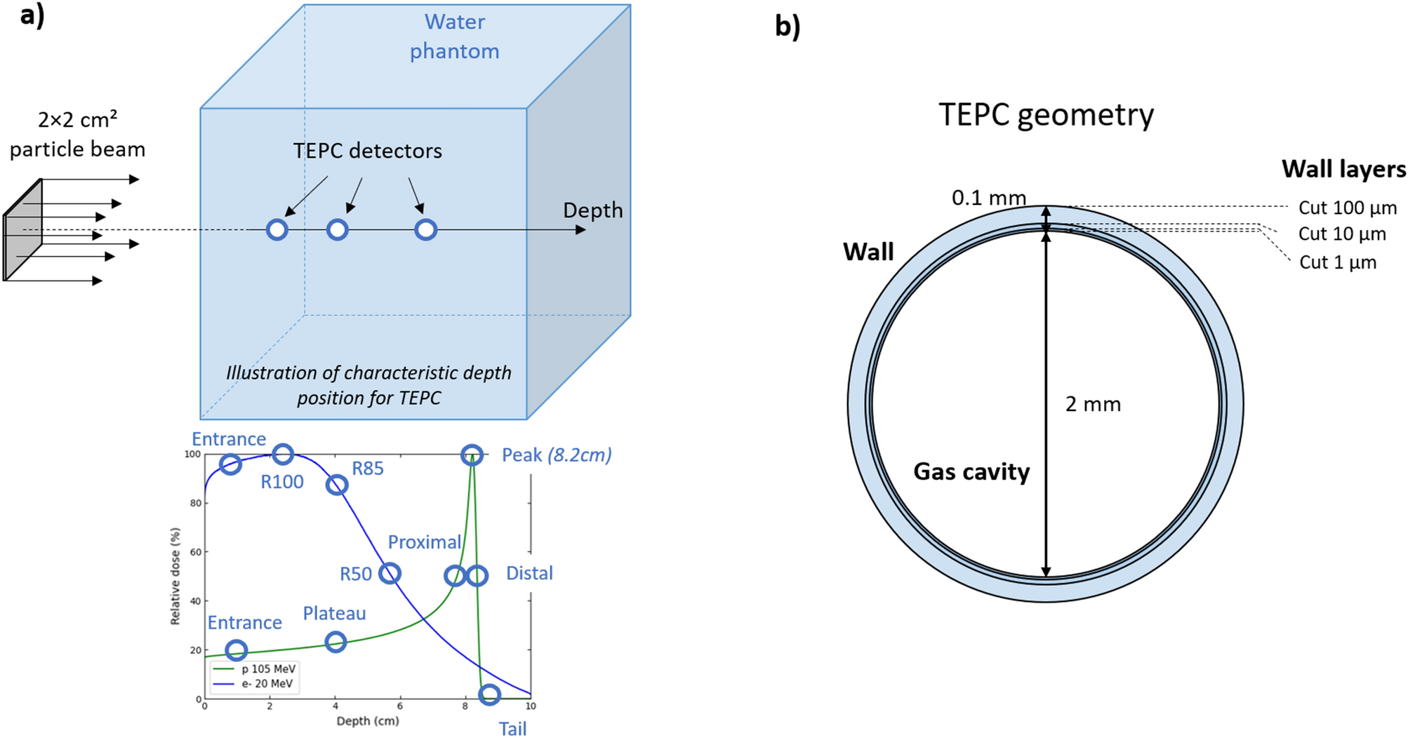 First theoretical determination of relative biological effectiveness of  very high energy electrons | Scientific Reports