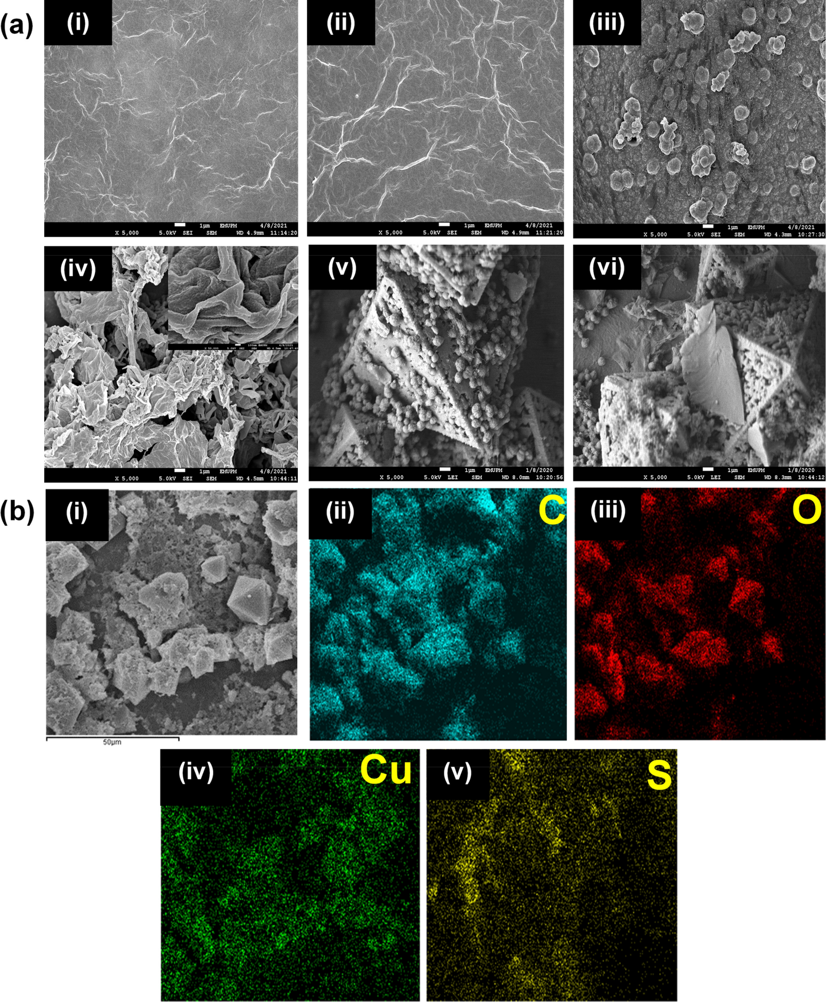 Facile Synthesis Of Pedot Rgo Hkust 1 For High Performance Symmetrical Supercapacitor Device Scientific Reports