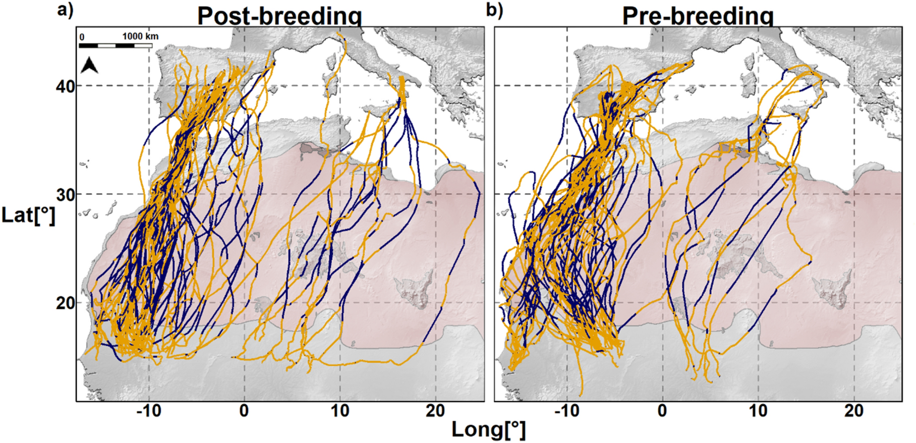 Barrier Crossings And Winds Shape Daily Travel Schedules And Speeds Of A Flight Generalist Scientific Reports Barrier Crossings And Winds Shape Daily Travel Schedules And Speeds Of A Flight Generalist Scientific Reports