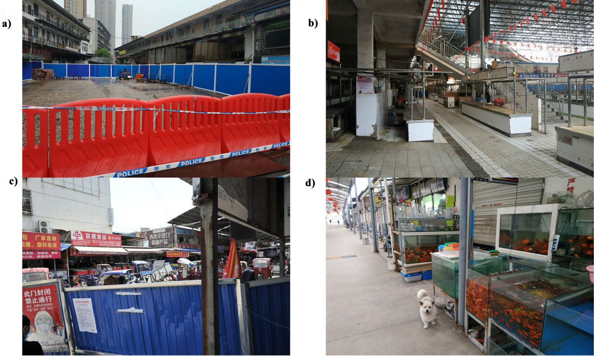 Animal sales from Wuhan wet markets immediately prior to the COVID-19  pandemic | Scientific Reports
