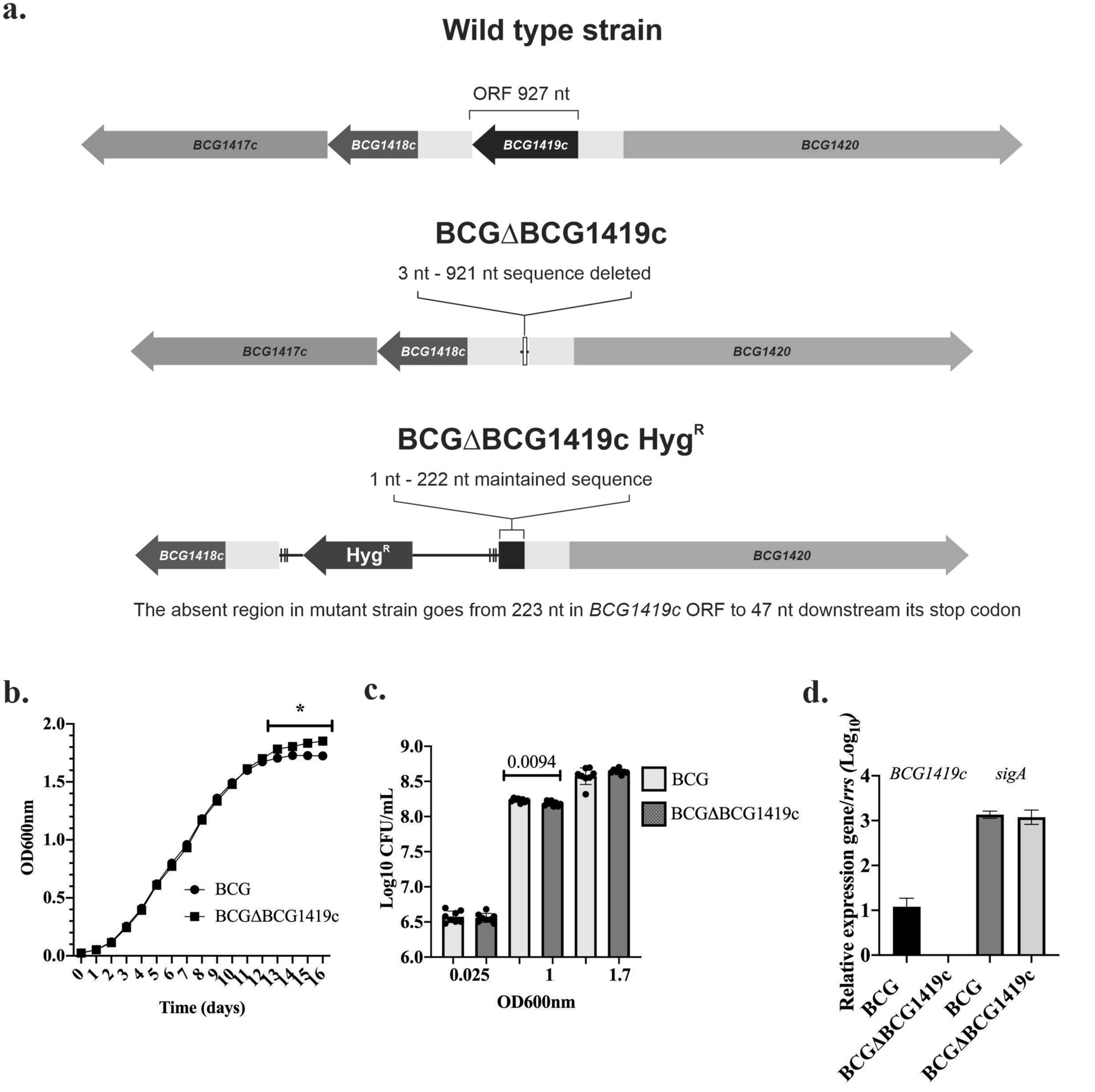 Vaccination with BCGΔBCG1419c protects against pulmonary and extrapulmonary  TB and is safer than BCG | Scientific Reports